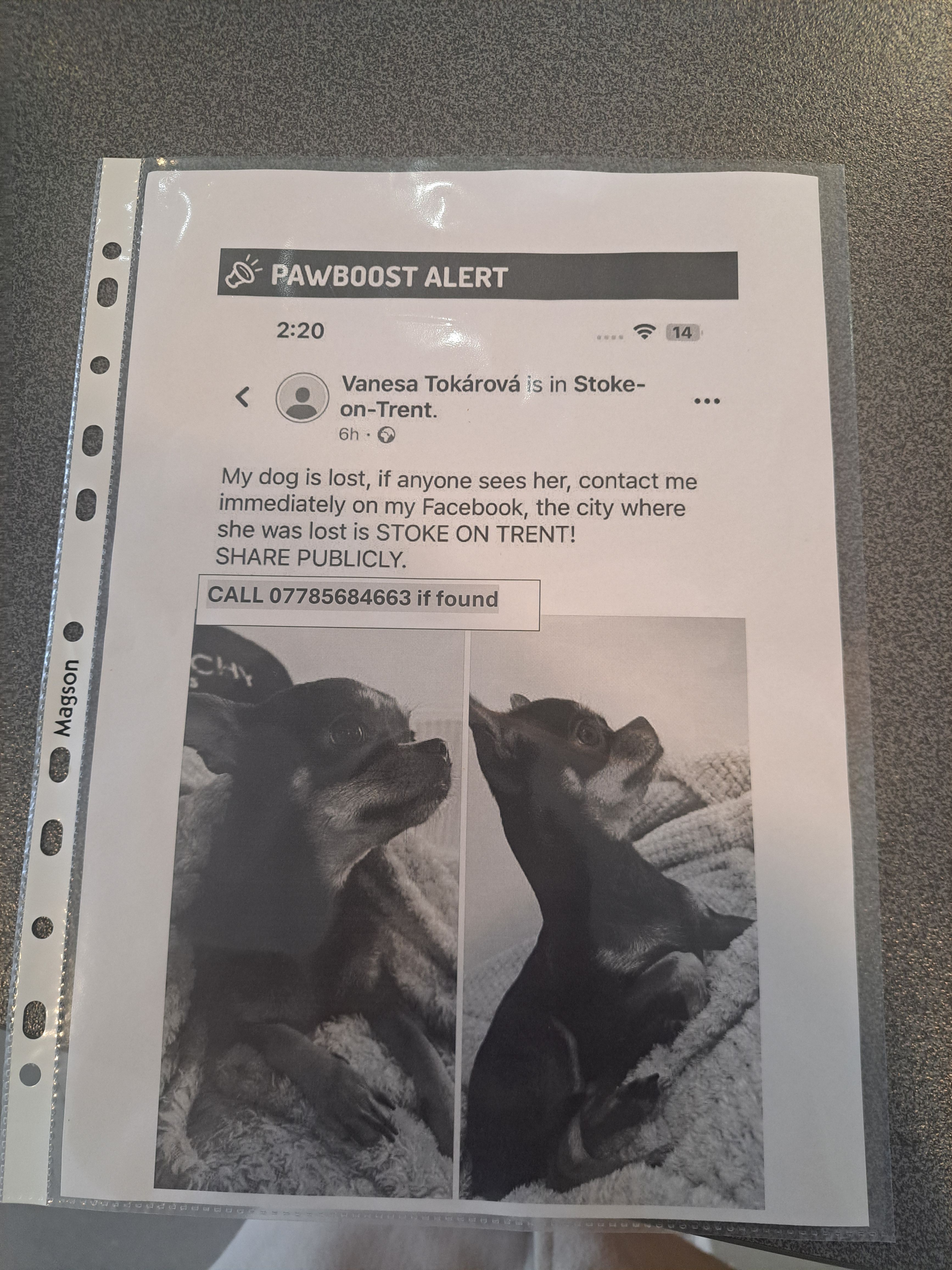 Charlotte  - Elder Road, Stoke-on-Trent