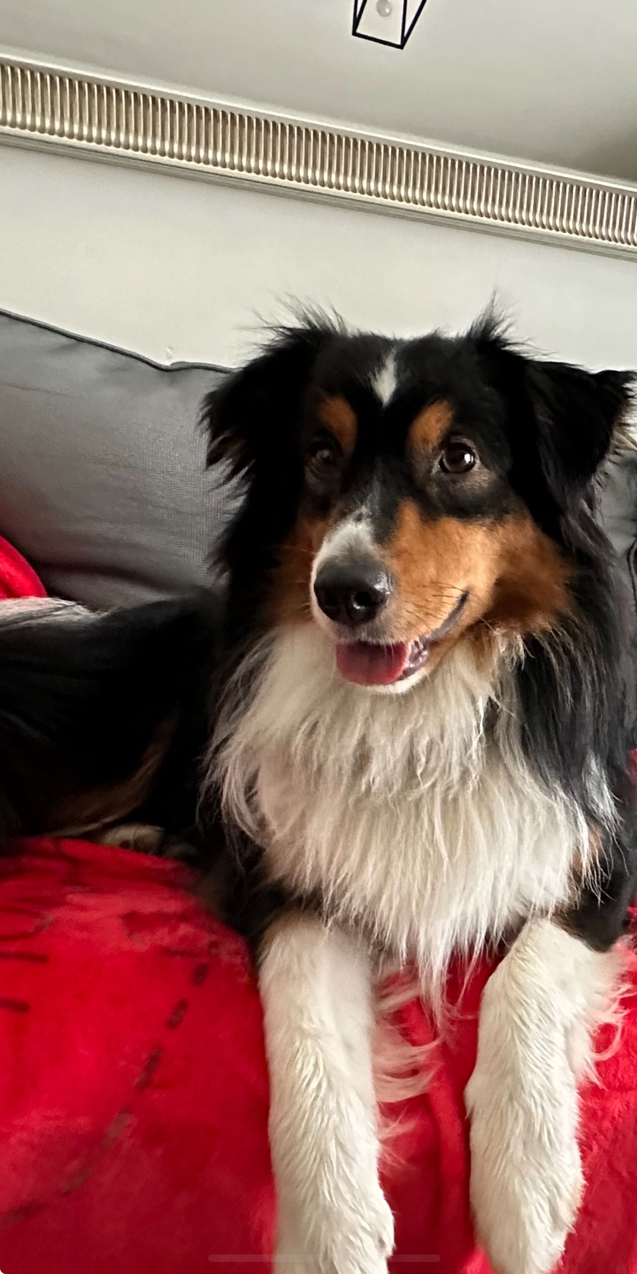 Uno - Impasse De La Tour, Toulouse