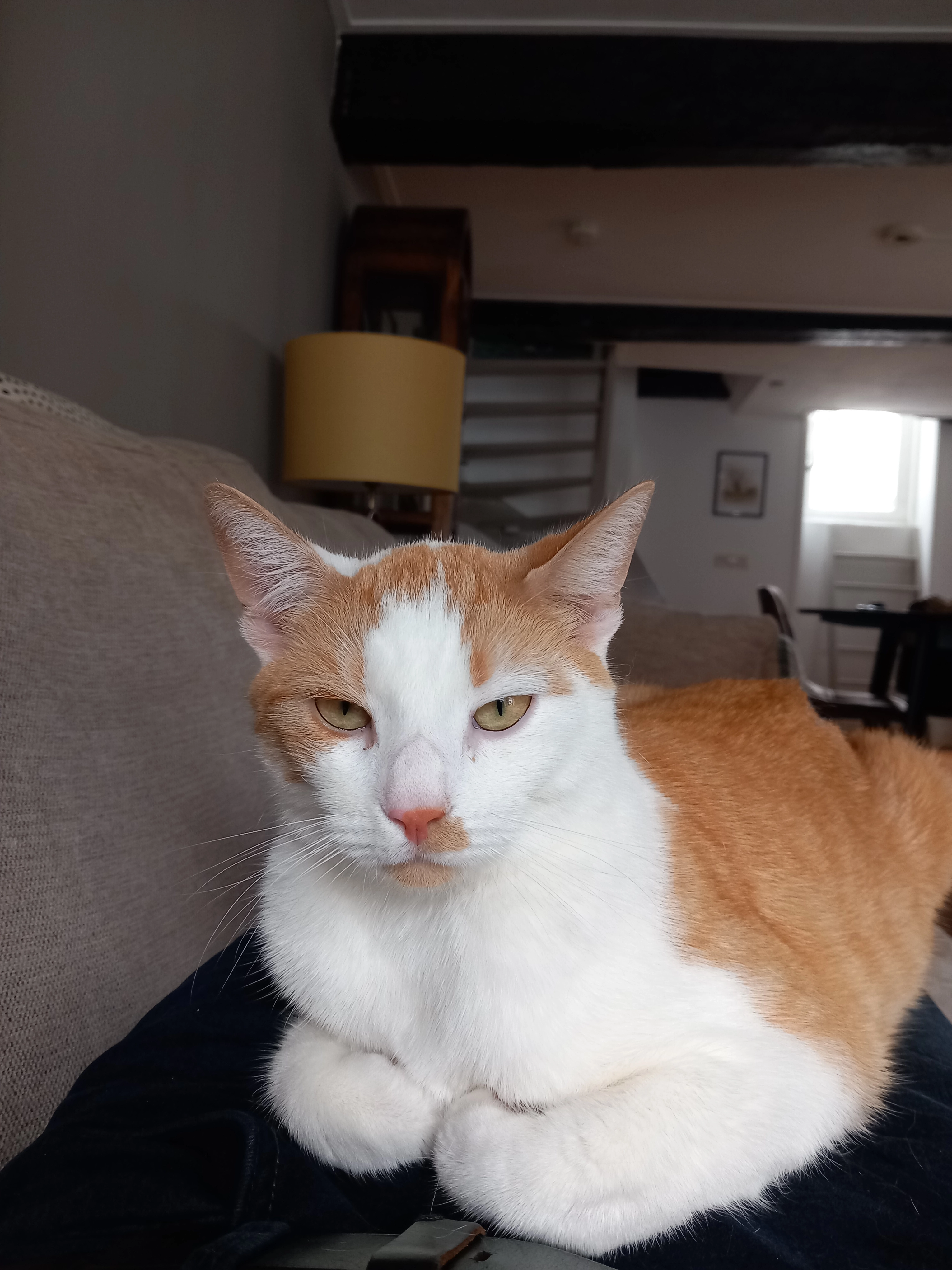 Jackie - Broerenstraat, Zwolle