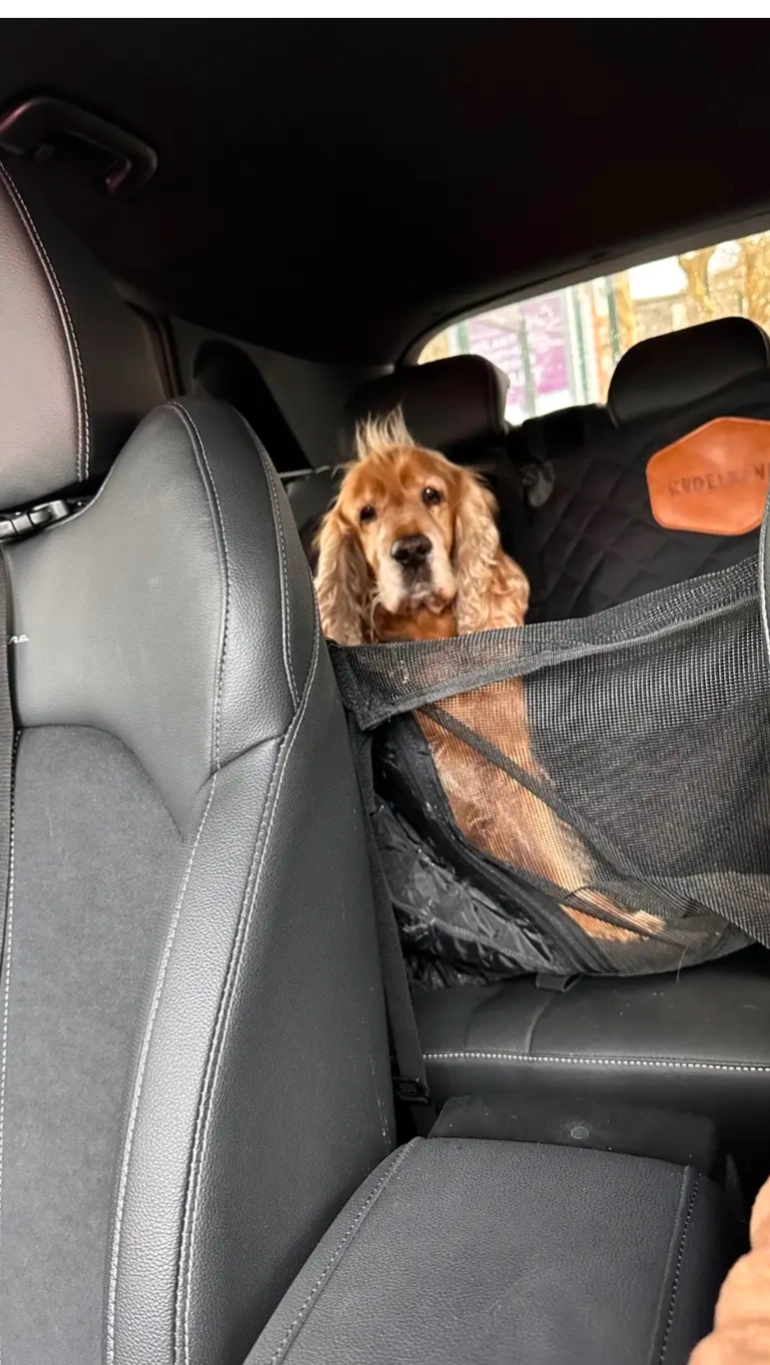 Gadjet - 58 Rue Louis Delos, Marcq-en-Baroeul