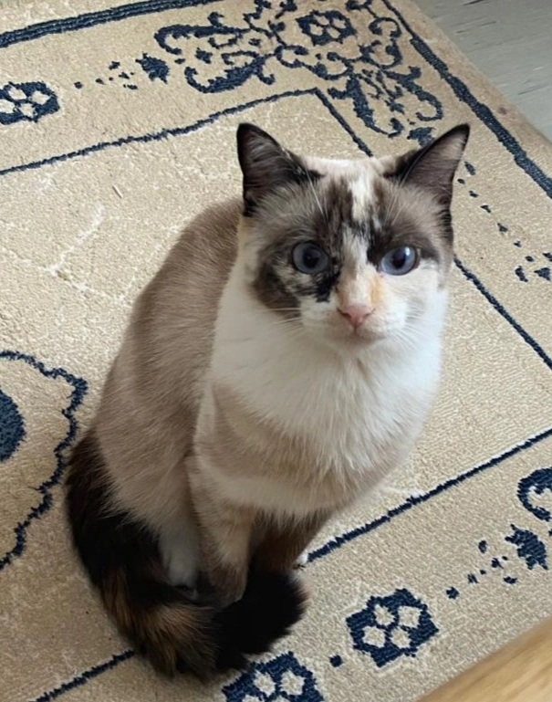 Kaya - Edenbornerstraße, Kirchheimbolanden