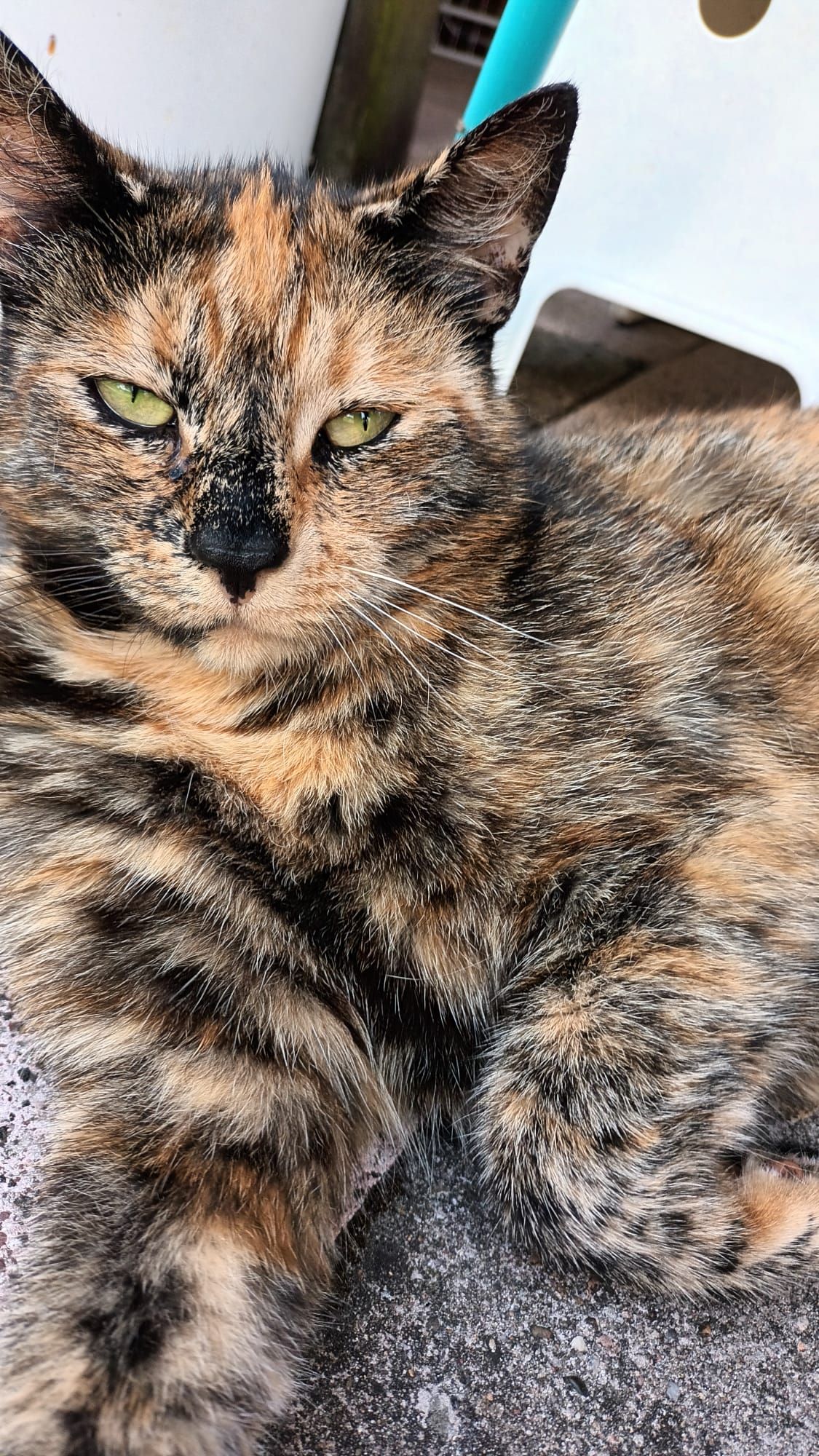 Ria - Heinje Tannen, Edewecht