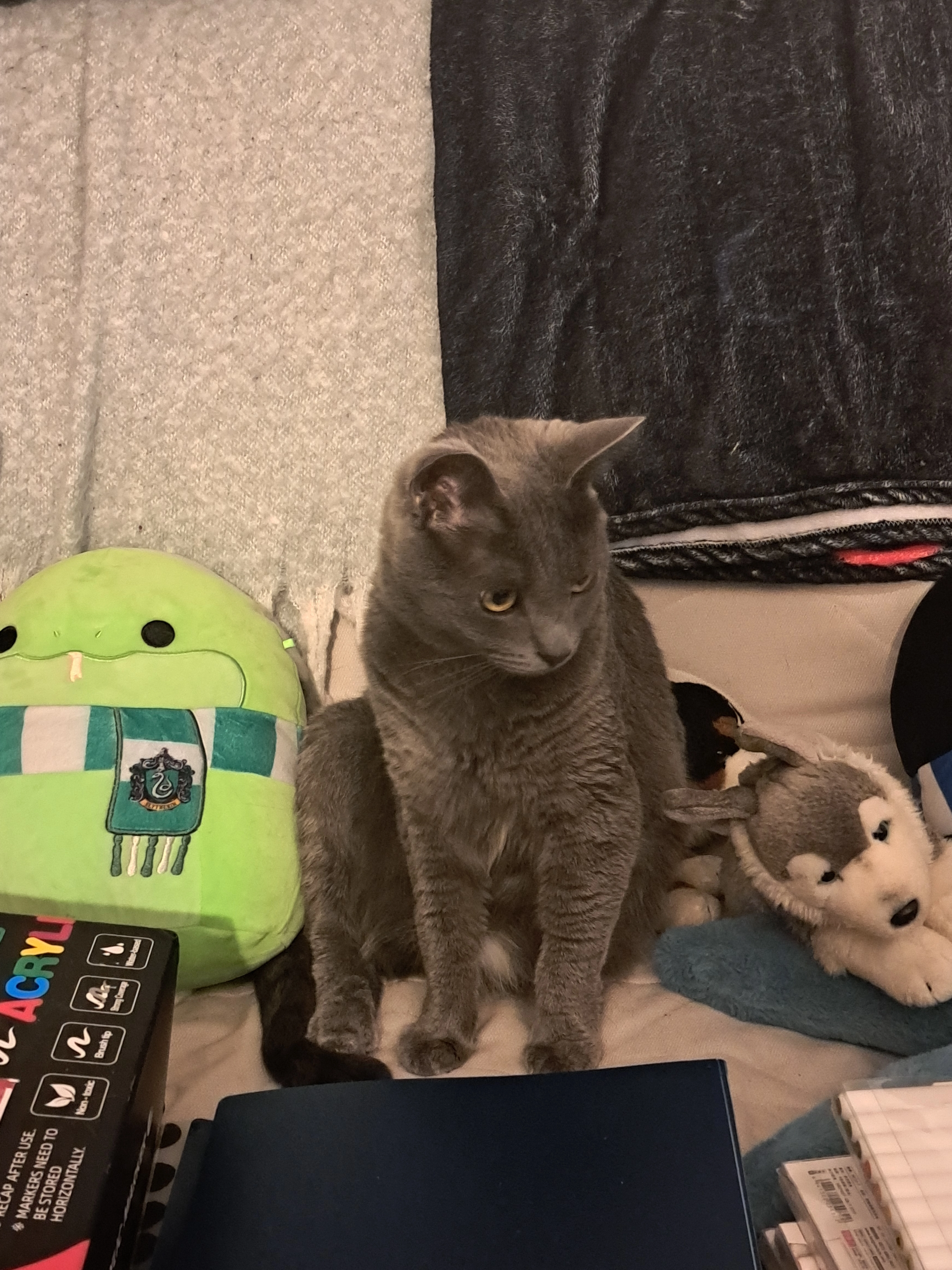 Milo - Avenue Milcamps 10, Schaerbeek