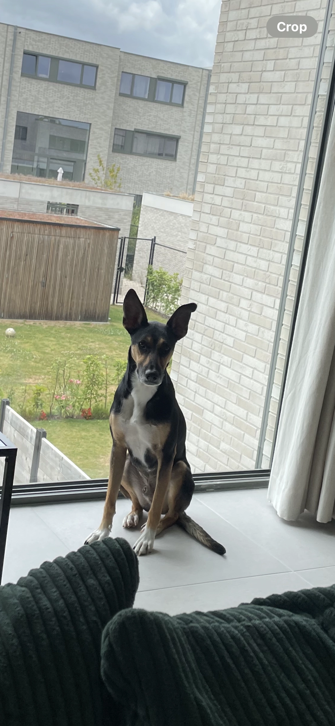 Gary - Boshuisweg, Zoersel