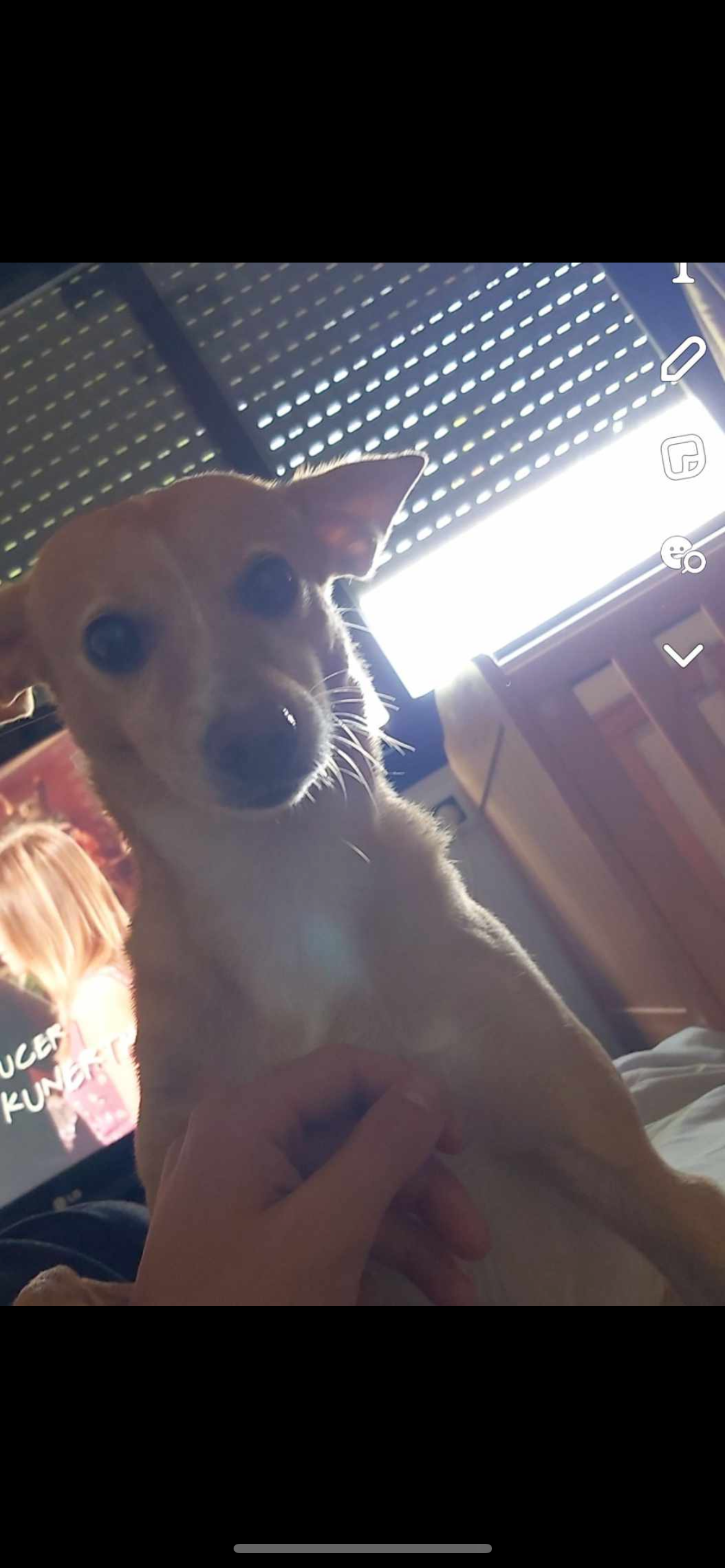 Lexi - Calle De La Hípica, Getafe