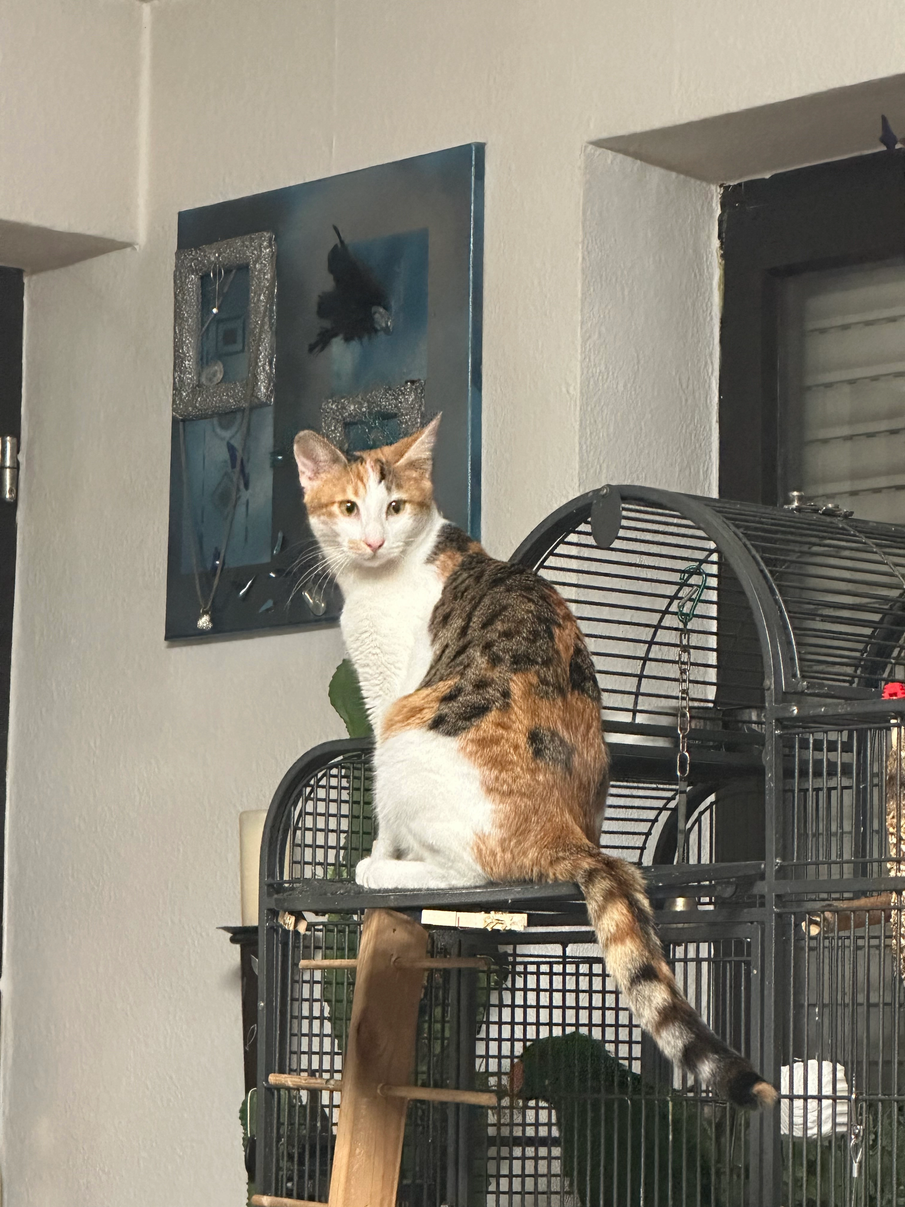 Lucy - Dorfstraße, Volkach