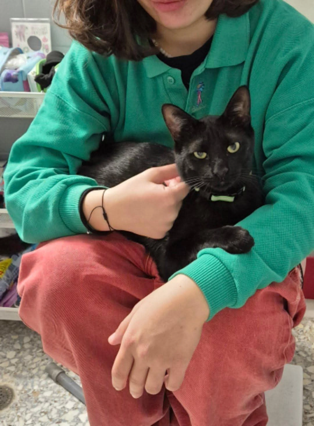 Κωνσταντής - Ισαΐου, Αθήνα