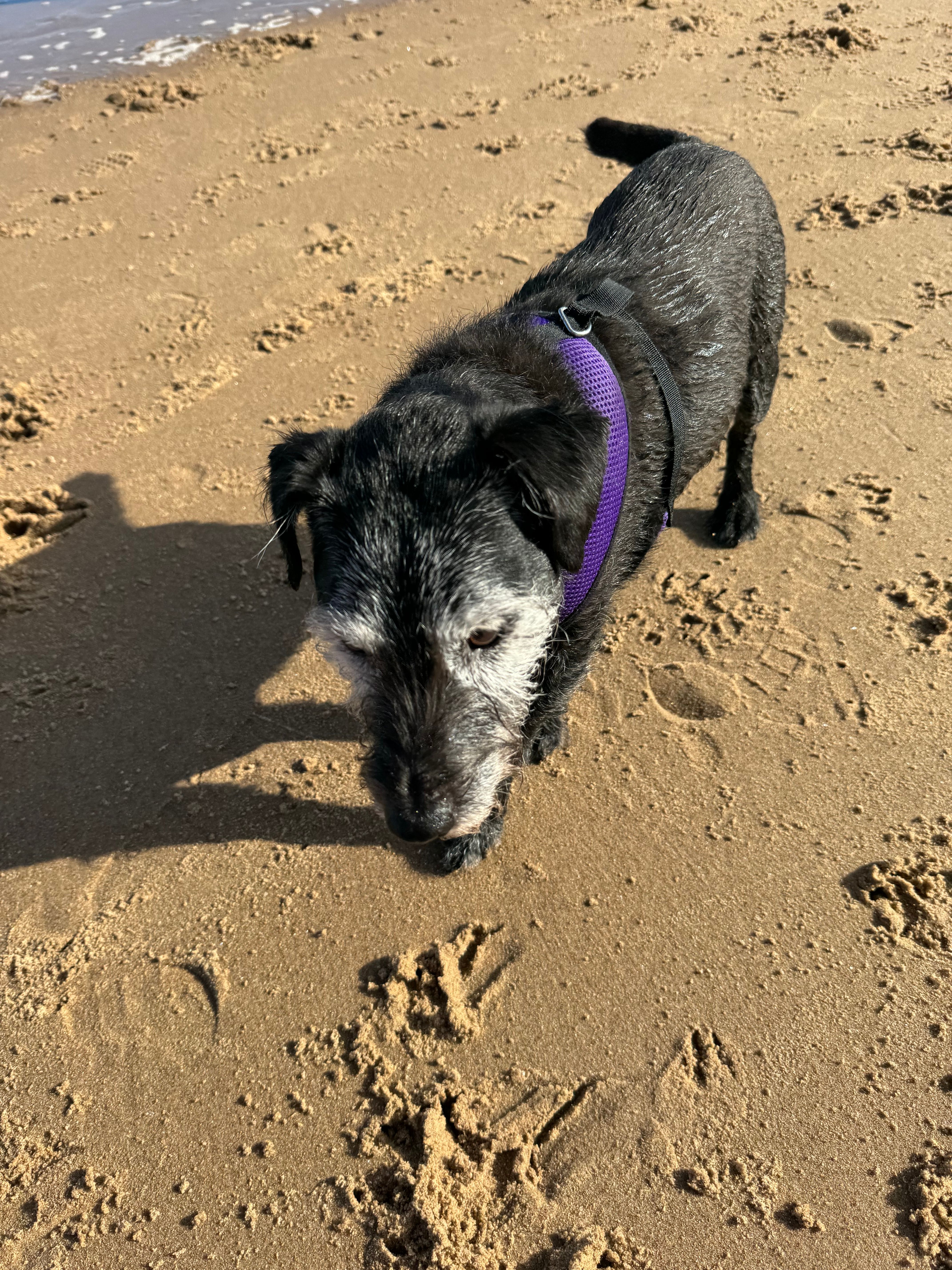 Zack - Chevin Close, Newcastle Upon Tyne