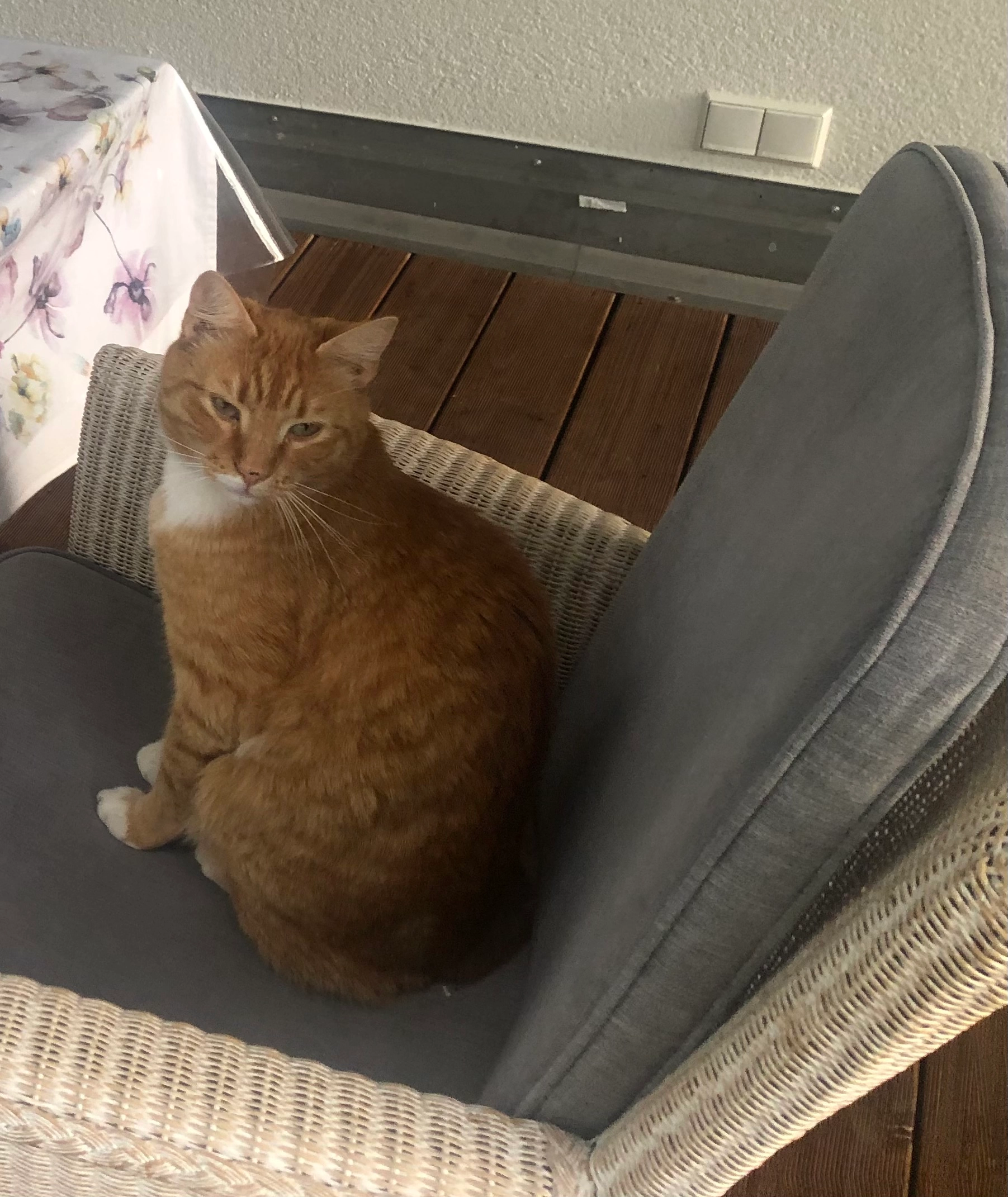 Moritz  - Mooshamer Straße, Kraiburg am Inn