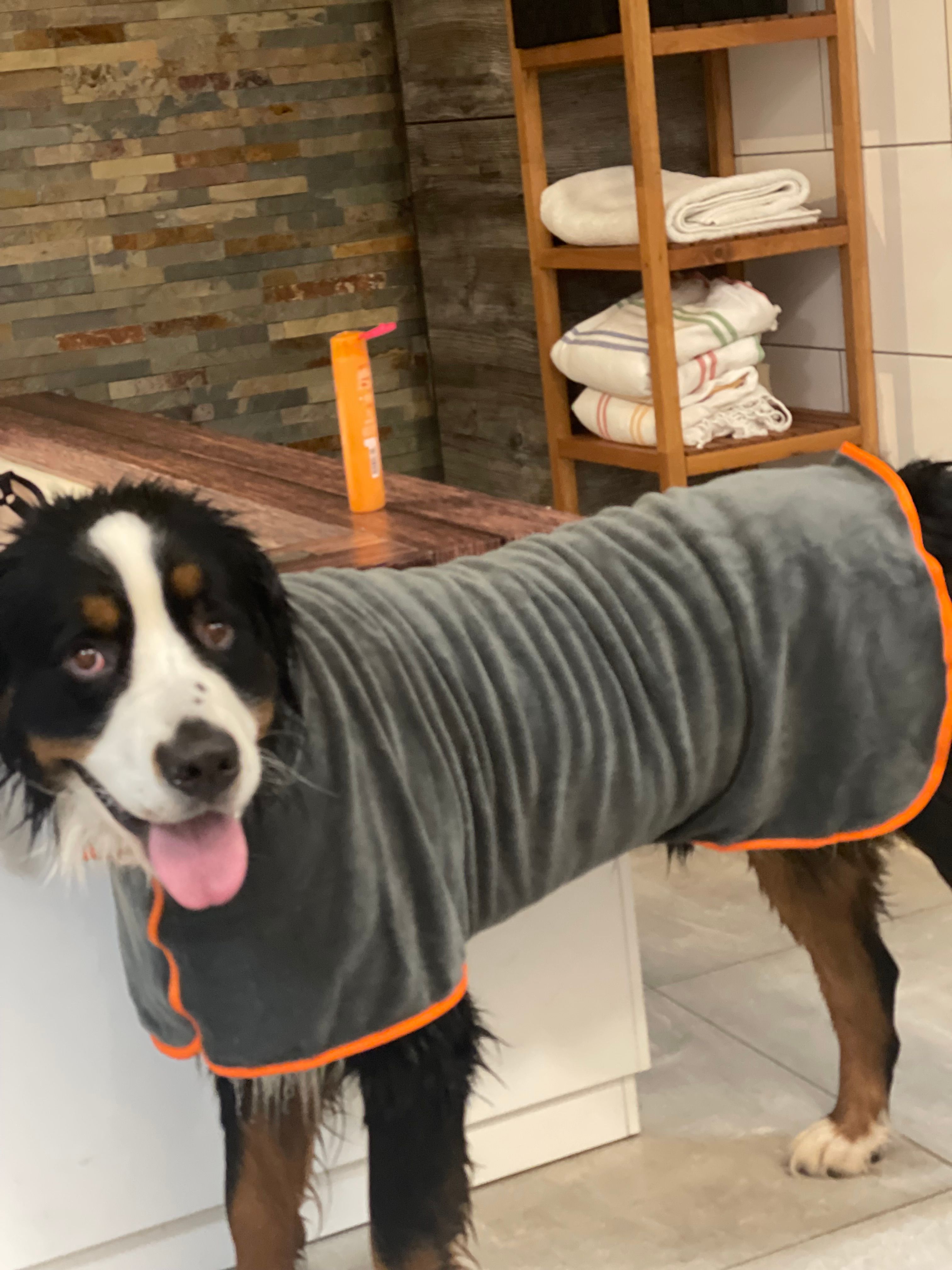 Kees - Brouwersdam, Hoofddorp