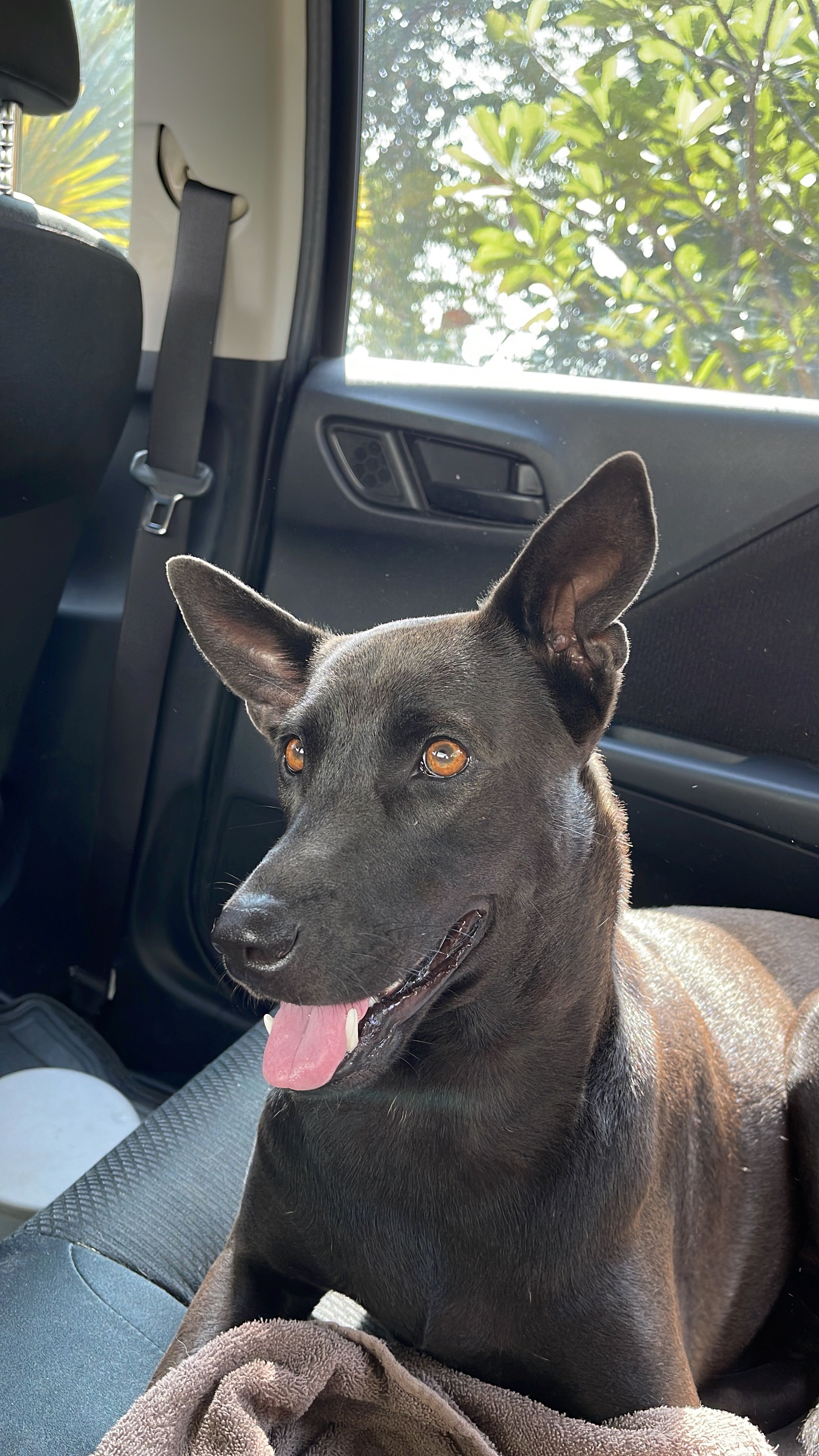 Bronzy - ถนนสายบ่อผุด-ปลายแหลม, Ko Samui