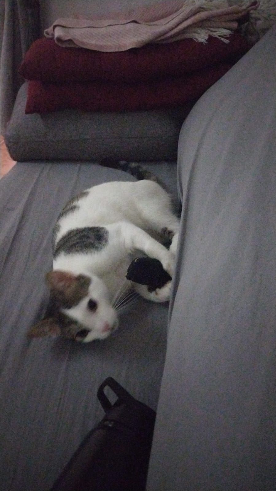 Max - Calle del Trinquet Vell 19, Sueca