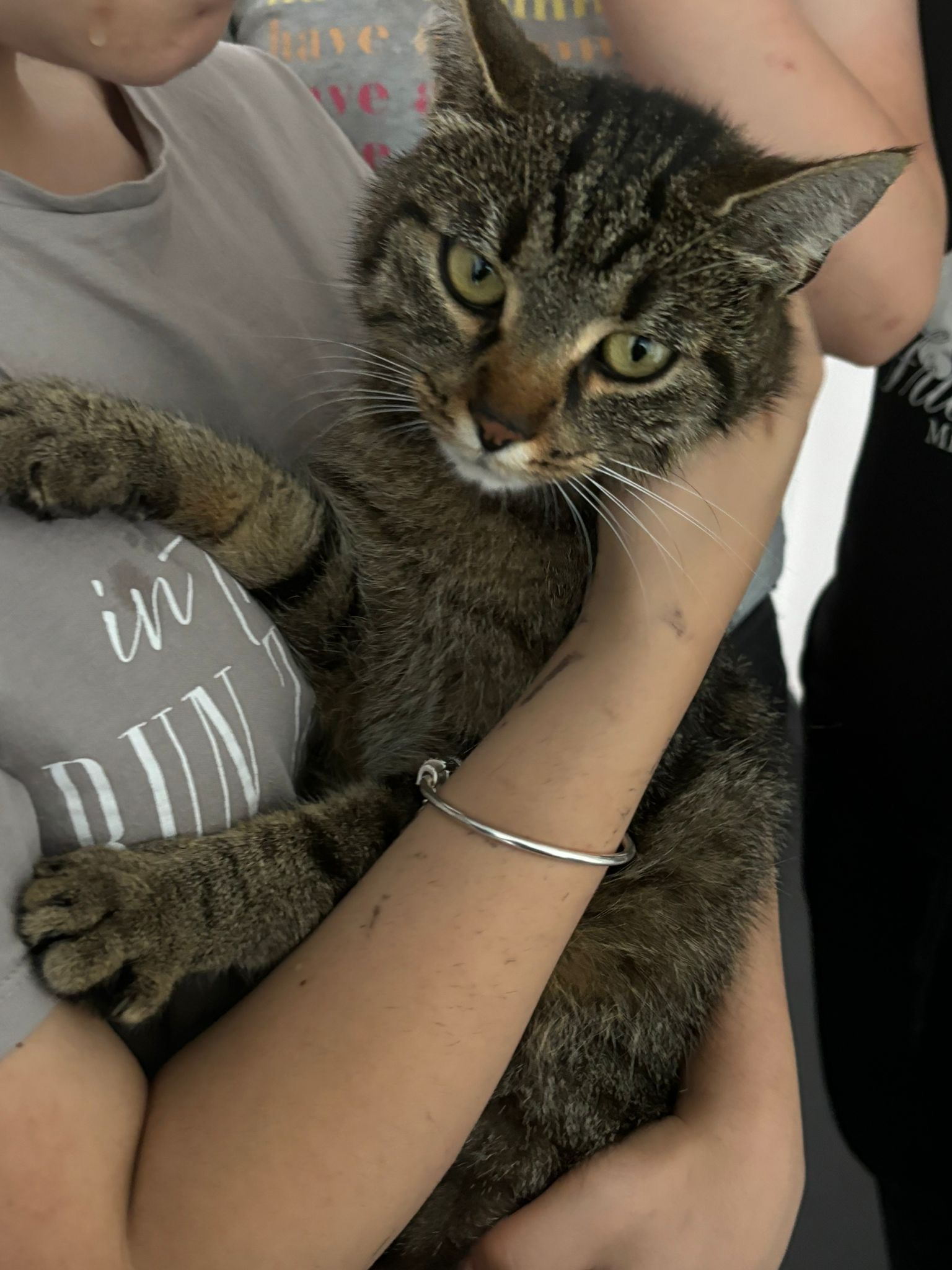 Minnos - Fiecht 44, Vomp