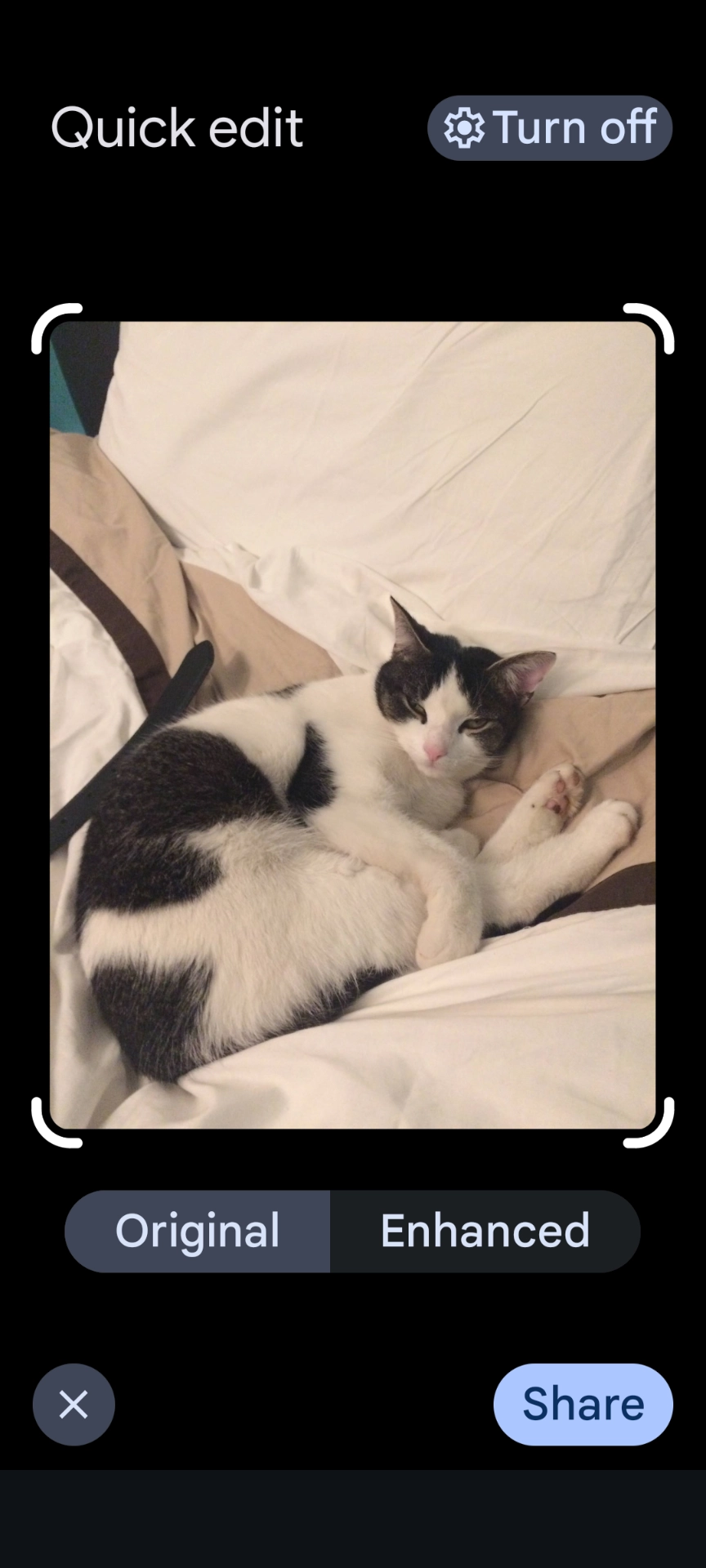 Chewy - Cherry Orchard Road, Birmingham