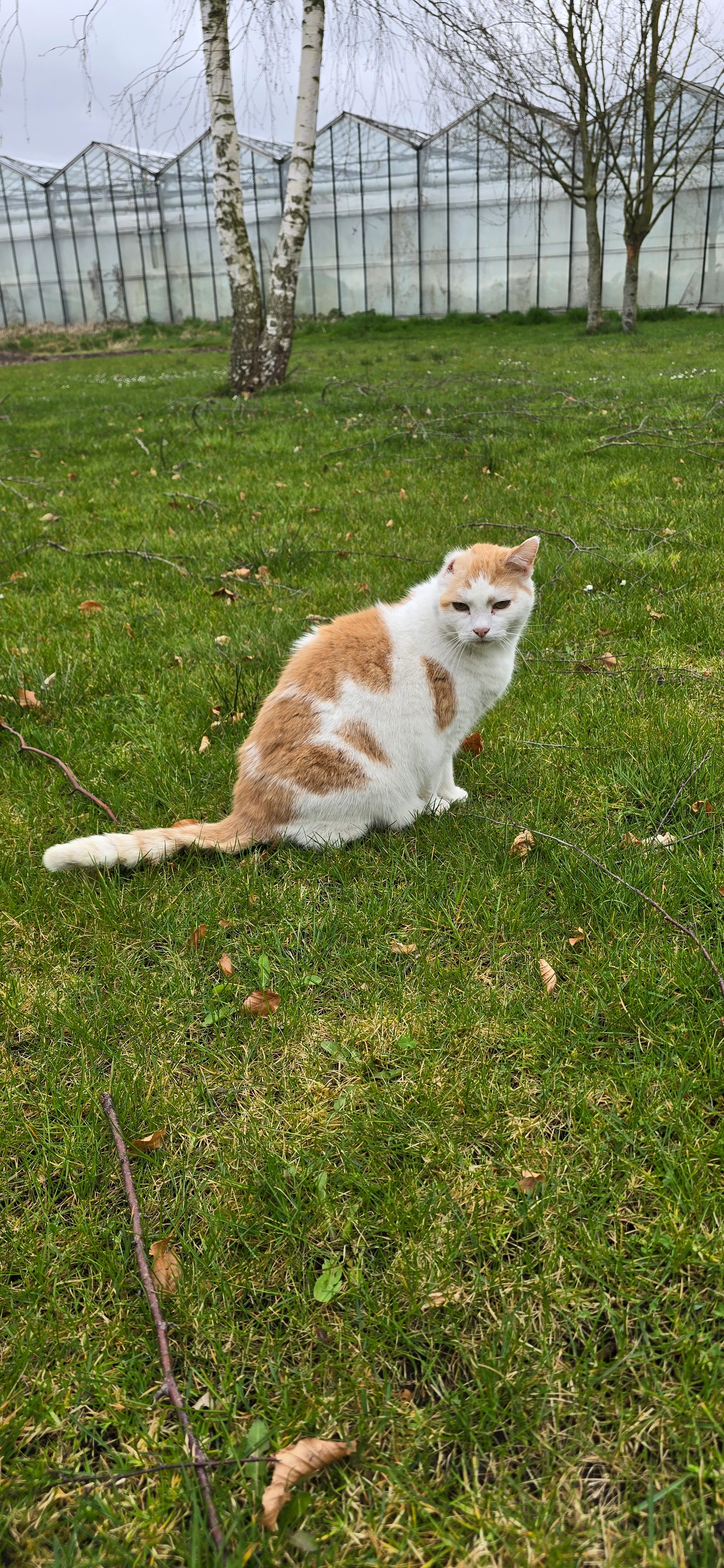 Henderik  - Beekweg, Erica