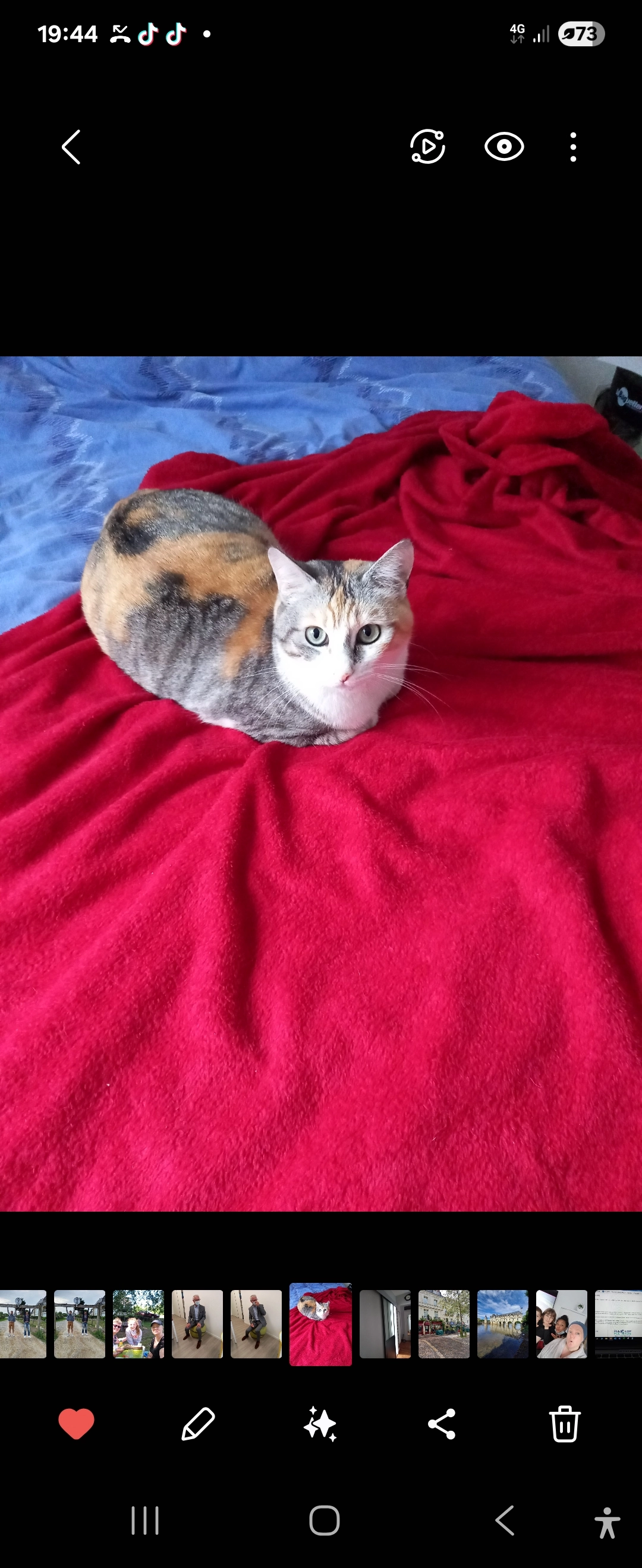 Mistinguette  - 4 Rue Blaise Pascal, Plescop