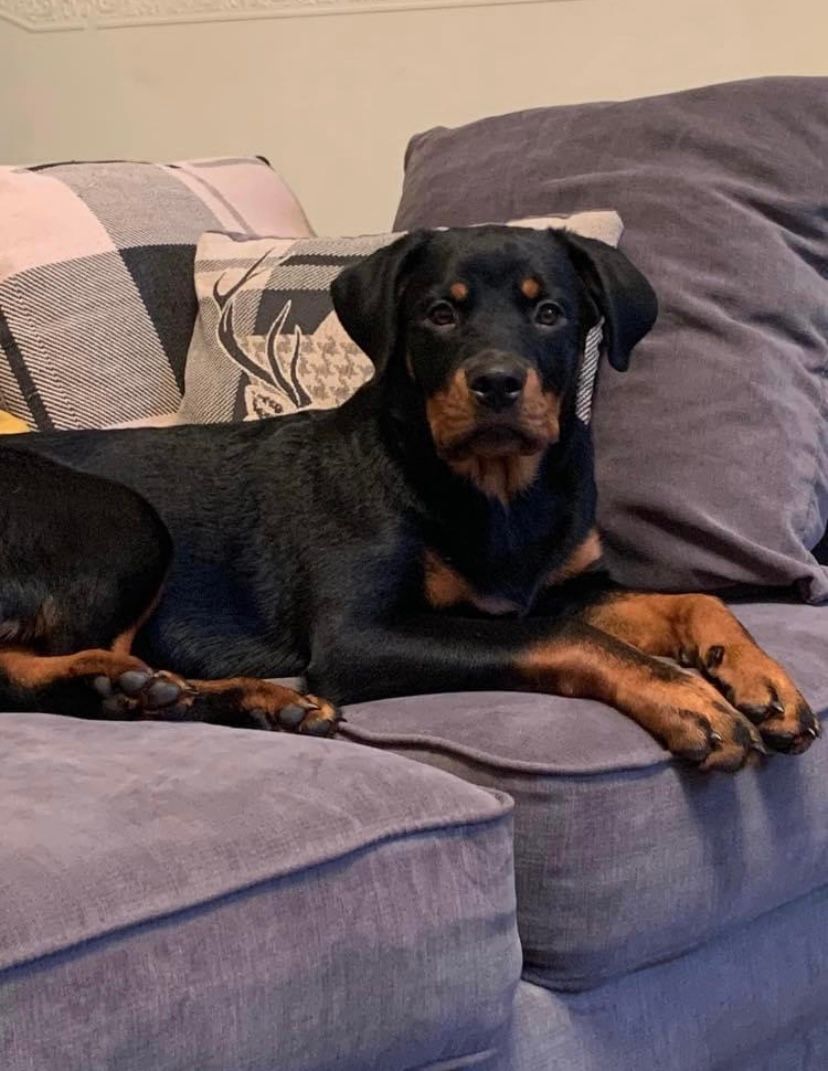 Cara - LU7 9, Leighton Buzzard