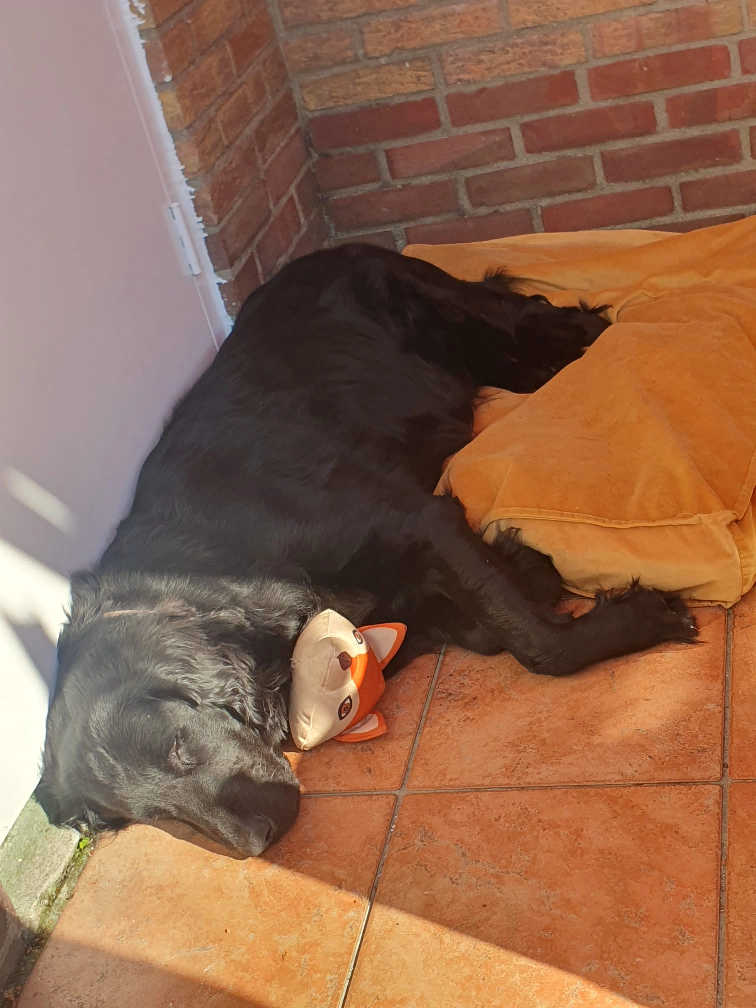 Soccer - Beukenlaan, Sint Jansteen