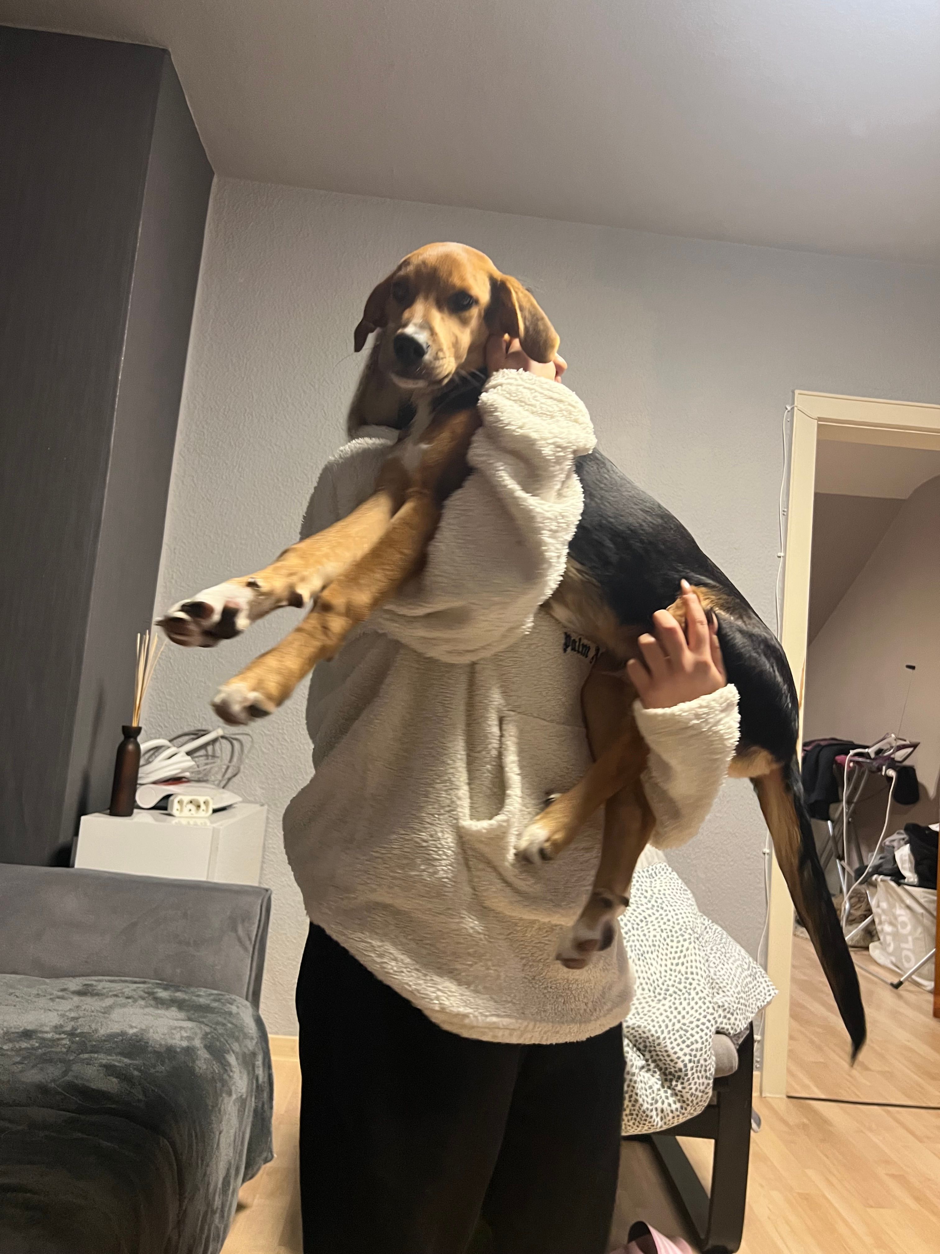 Alex - Κατερίνης - Δίου, Nea Efessos