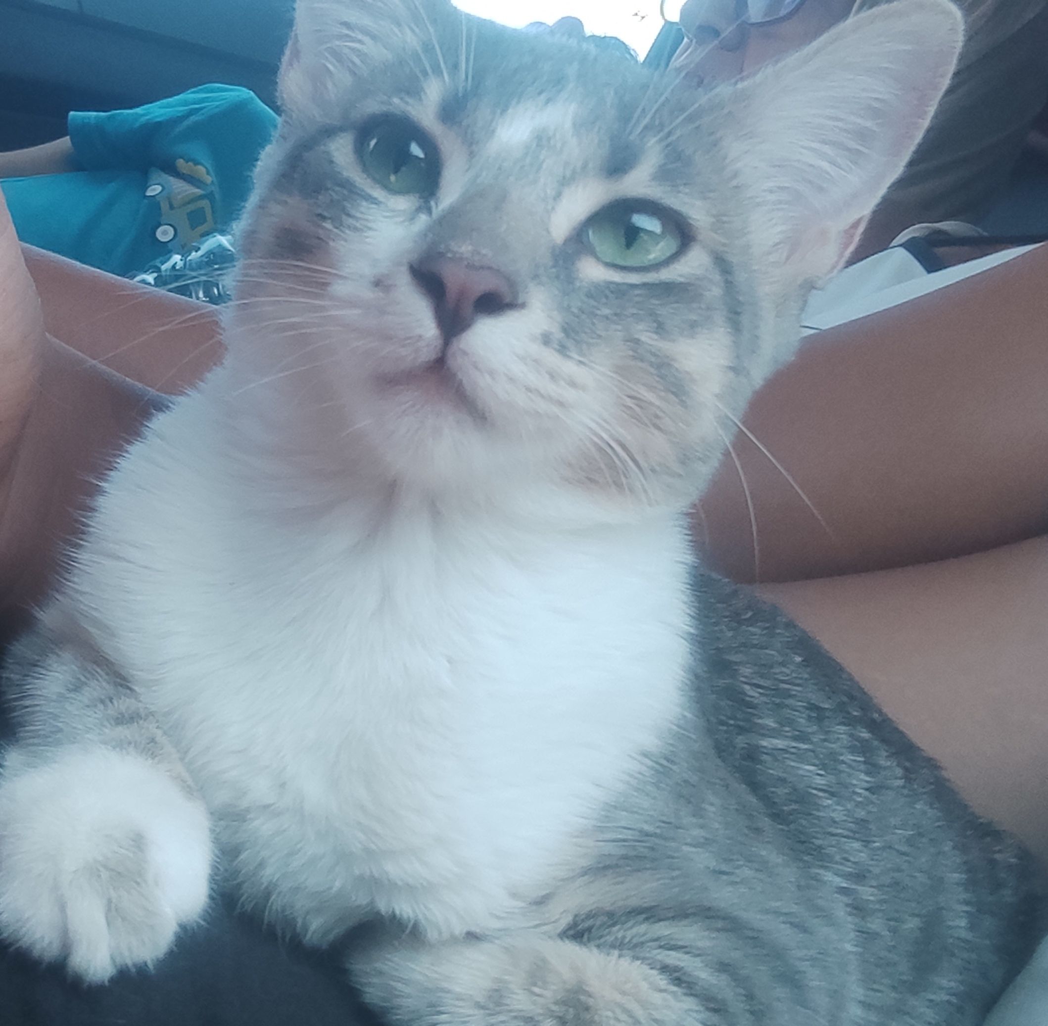 Sicilia  - Rue marrakech , Tangier