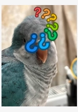 麻球 - 200136, Shanghai