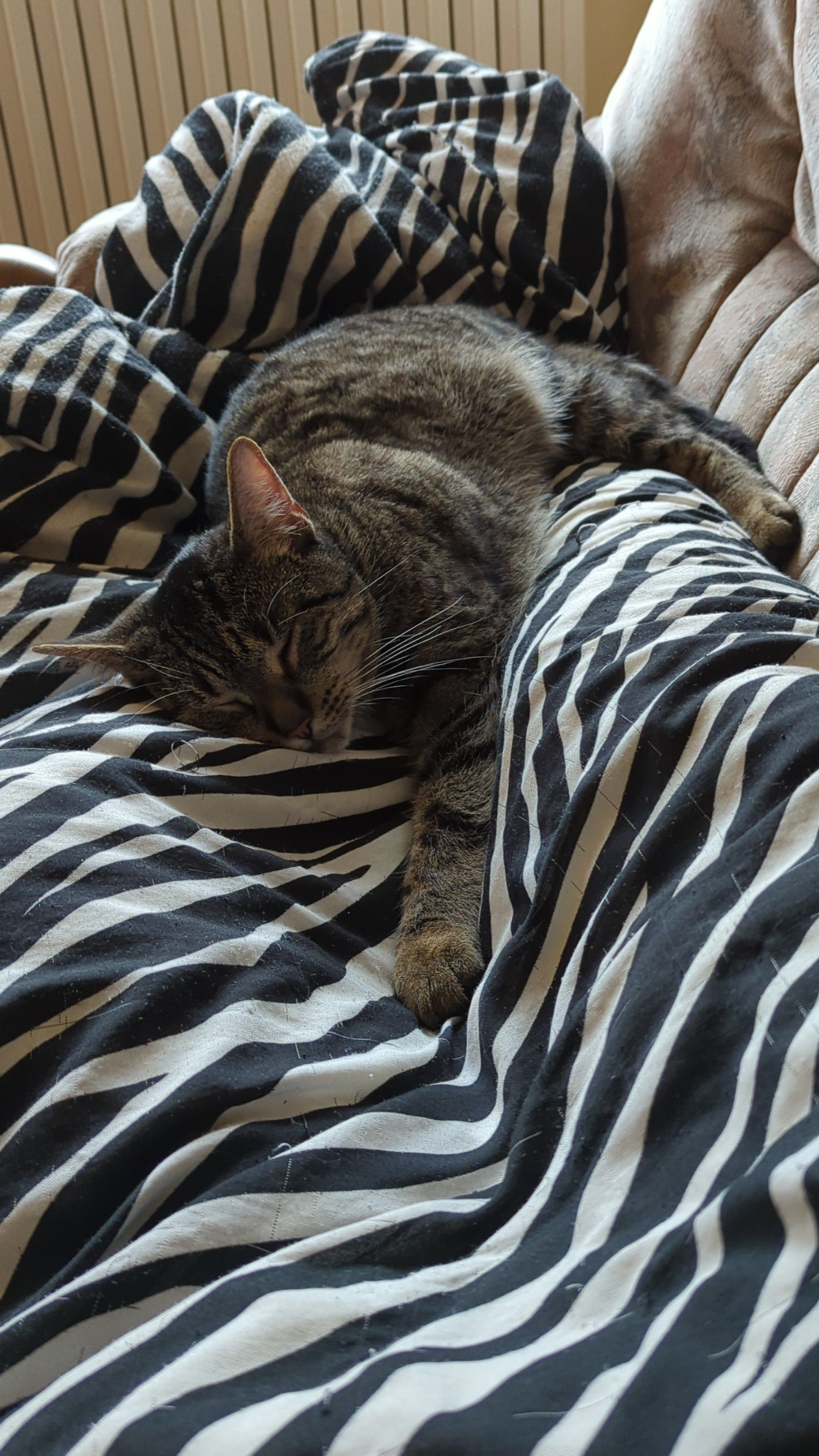 Mietzi - Wartturmstraße, Lübbecke