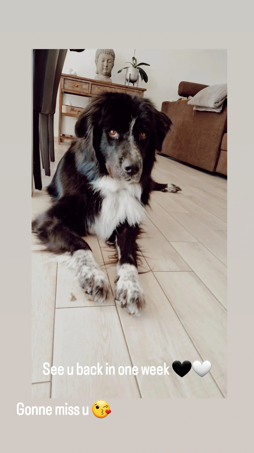 Hailey - Onze-Lieve-Vrouwstraat, Beveren