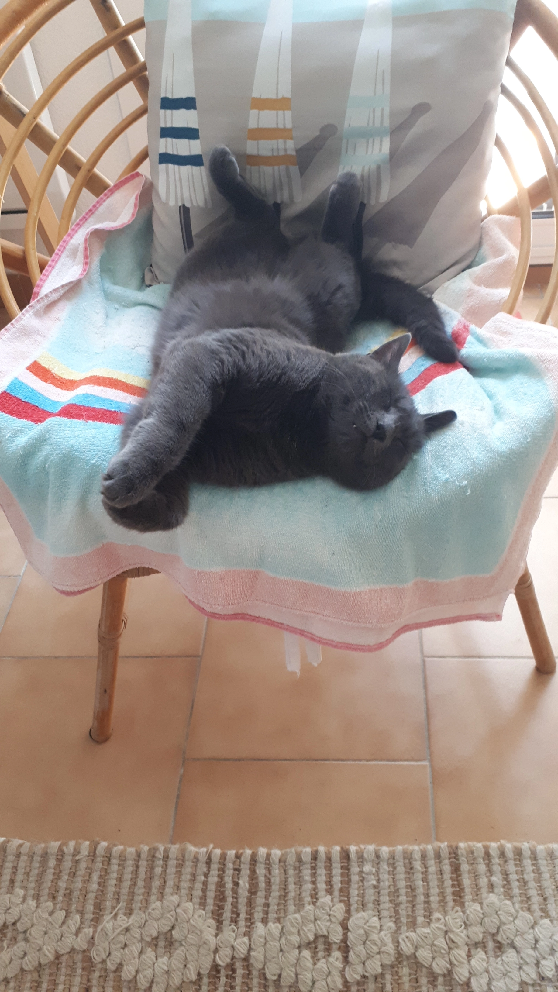 SMOKY - Allée Surcouf, Canet-en-Roussillon