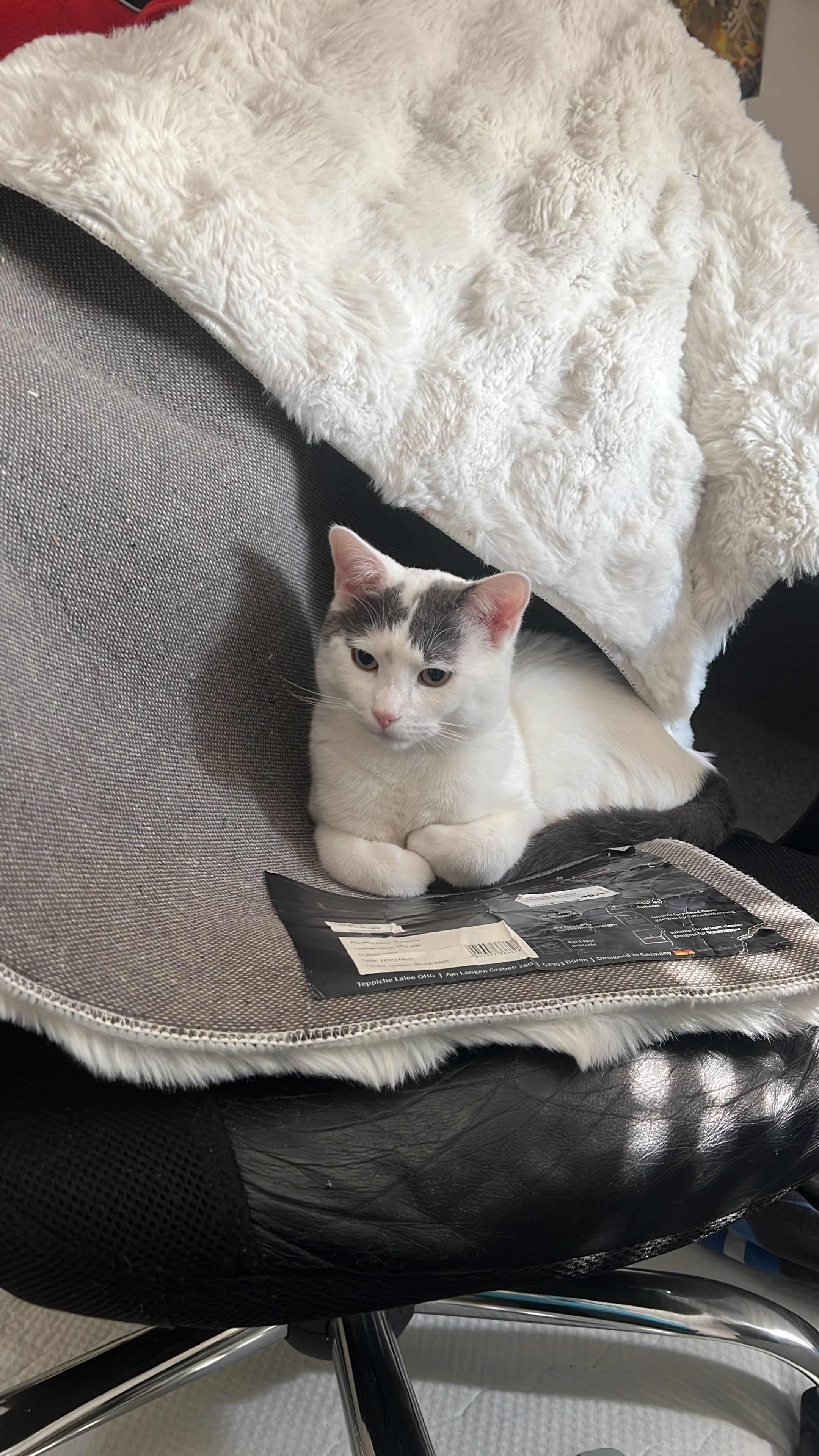 Minosch  - Spitalstraße, Neckarsulm