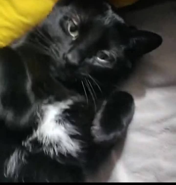 Boston  - Calle de Santo Domingo de Silos, Soria