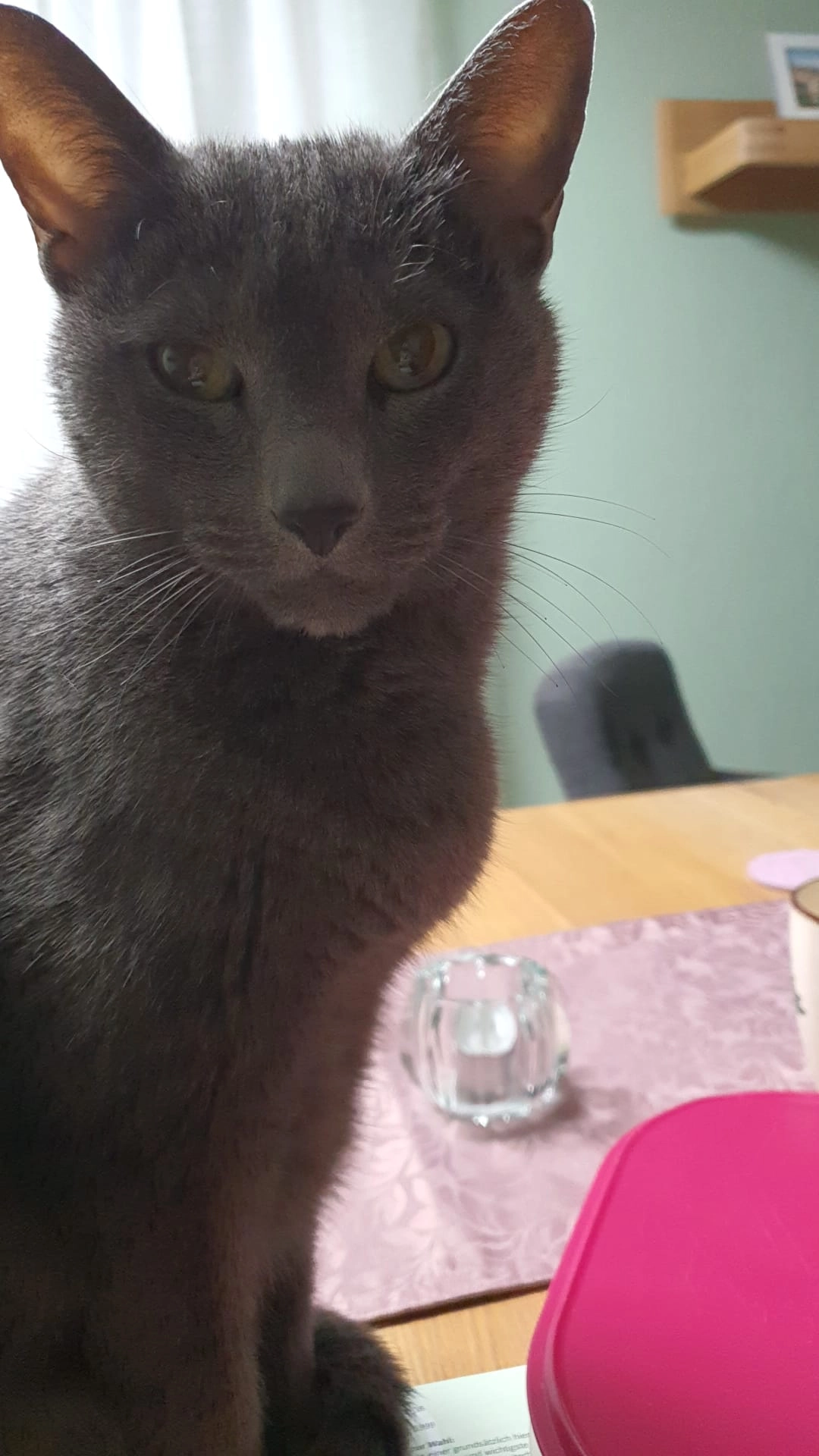 Alehandro - Kastanienweg, Metzingen