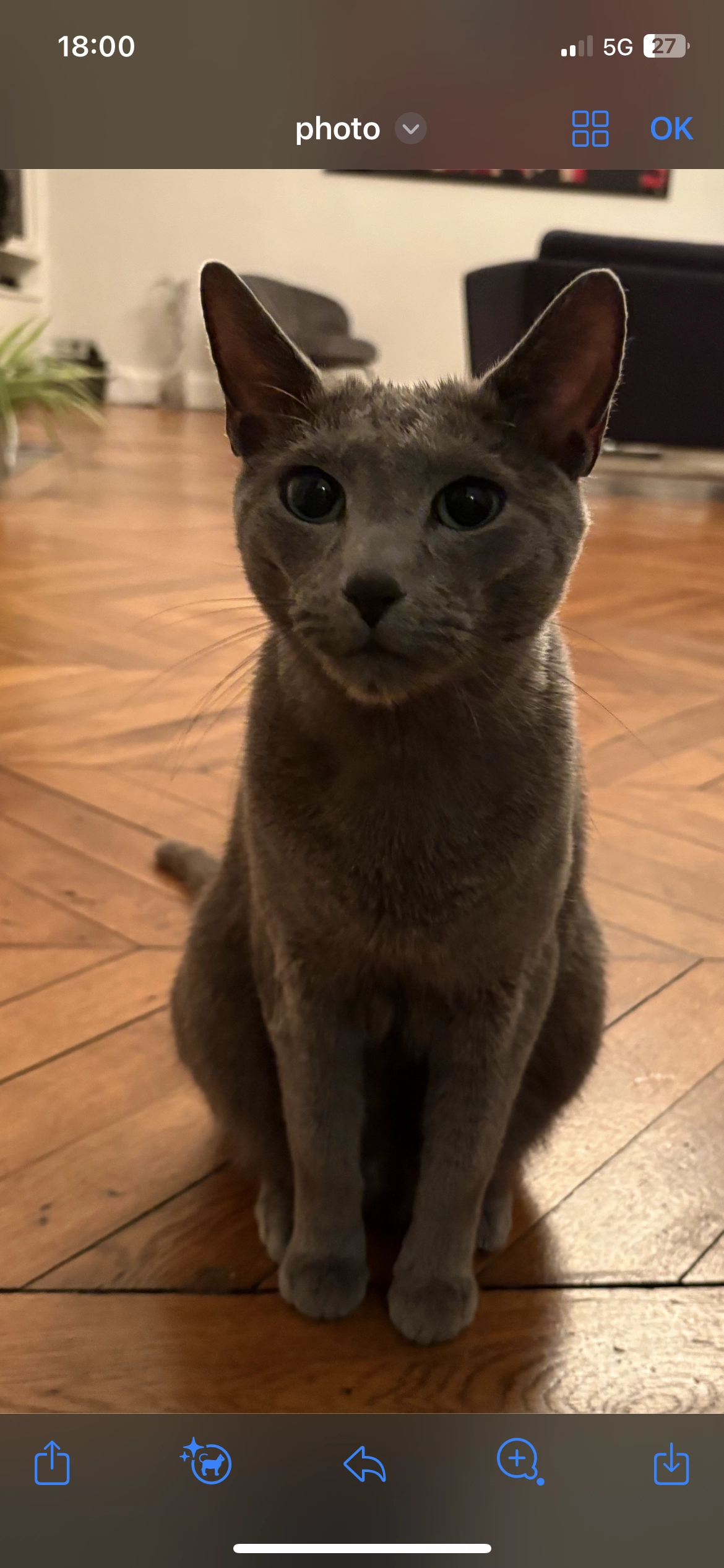 Tabasco - Rue de Jemmapes, Lille