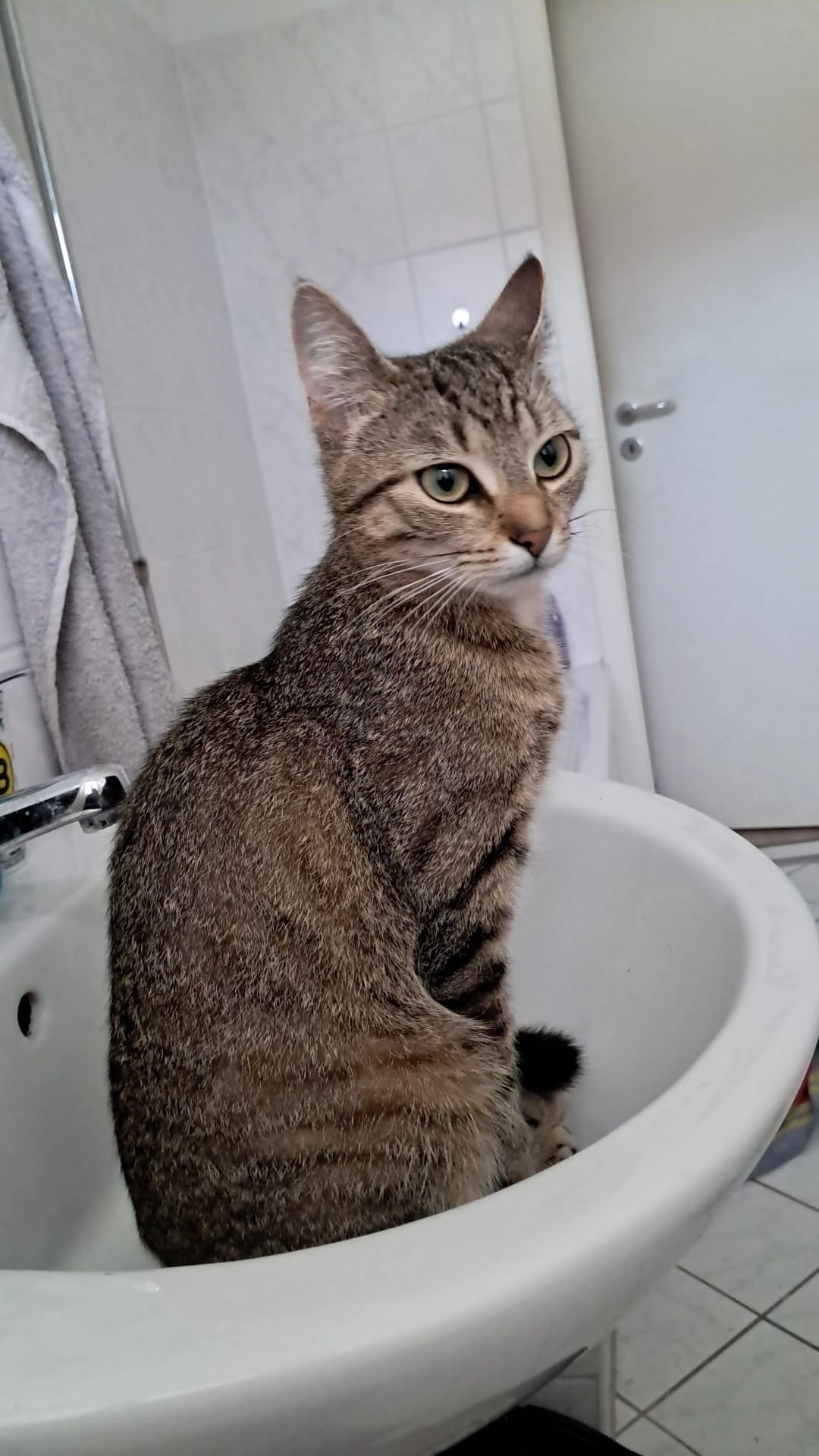 Freya - Franz-Mehring-Straße 59, Dresden