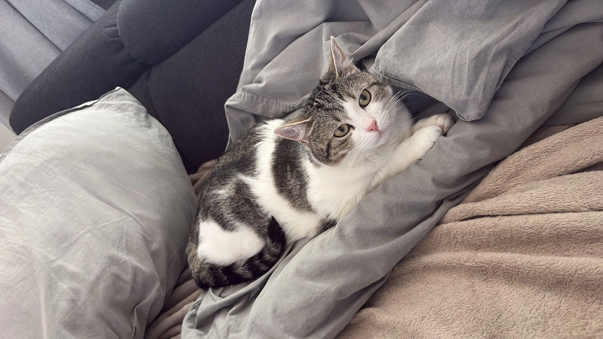 Nala - Hauptstraße, Neunkirchen