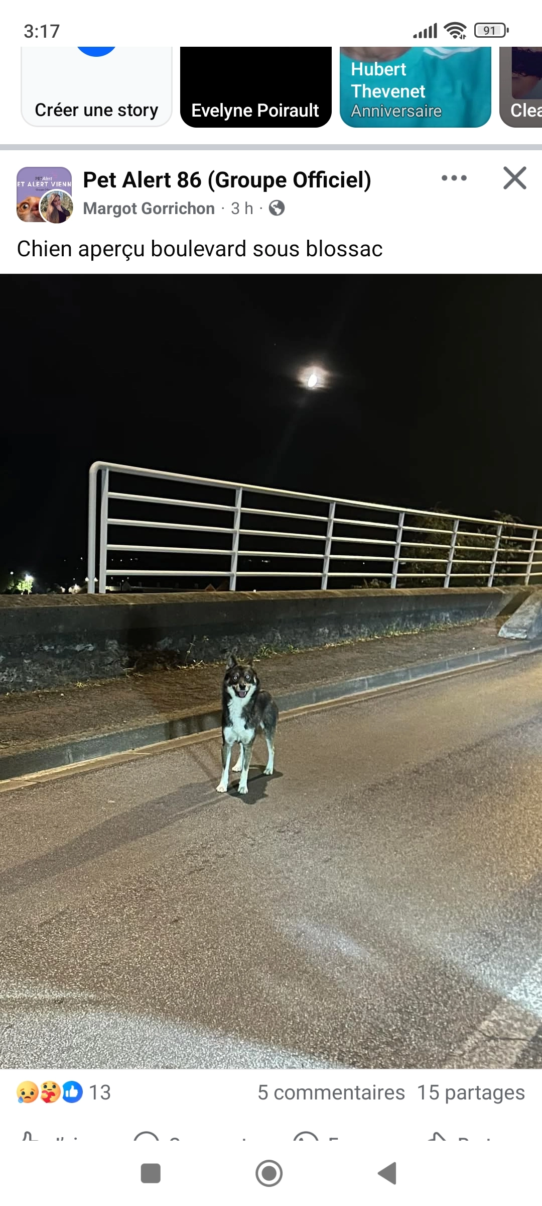 Balto - Rue de Blossac, Poitiers