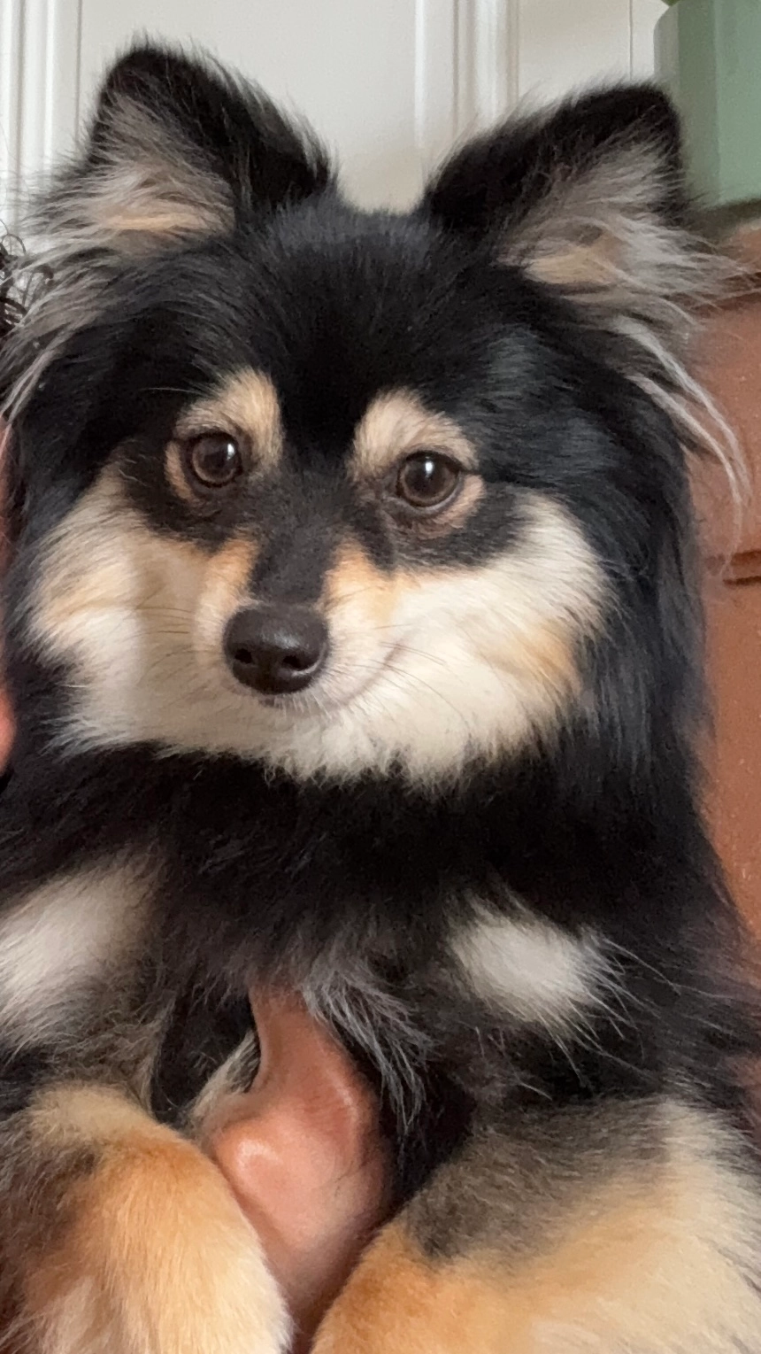 Hona - 128 Avenue Félix Faure, Lyon