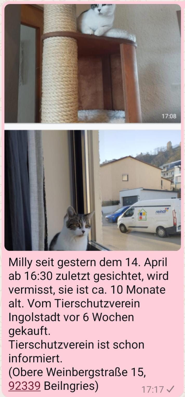 Milly - Obere Weinbergstraße, Beilngries