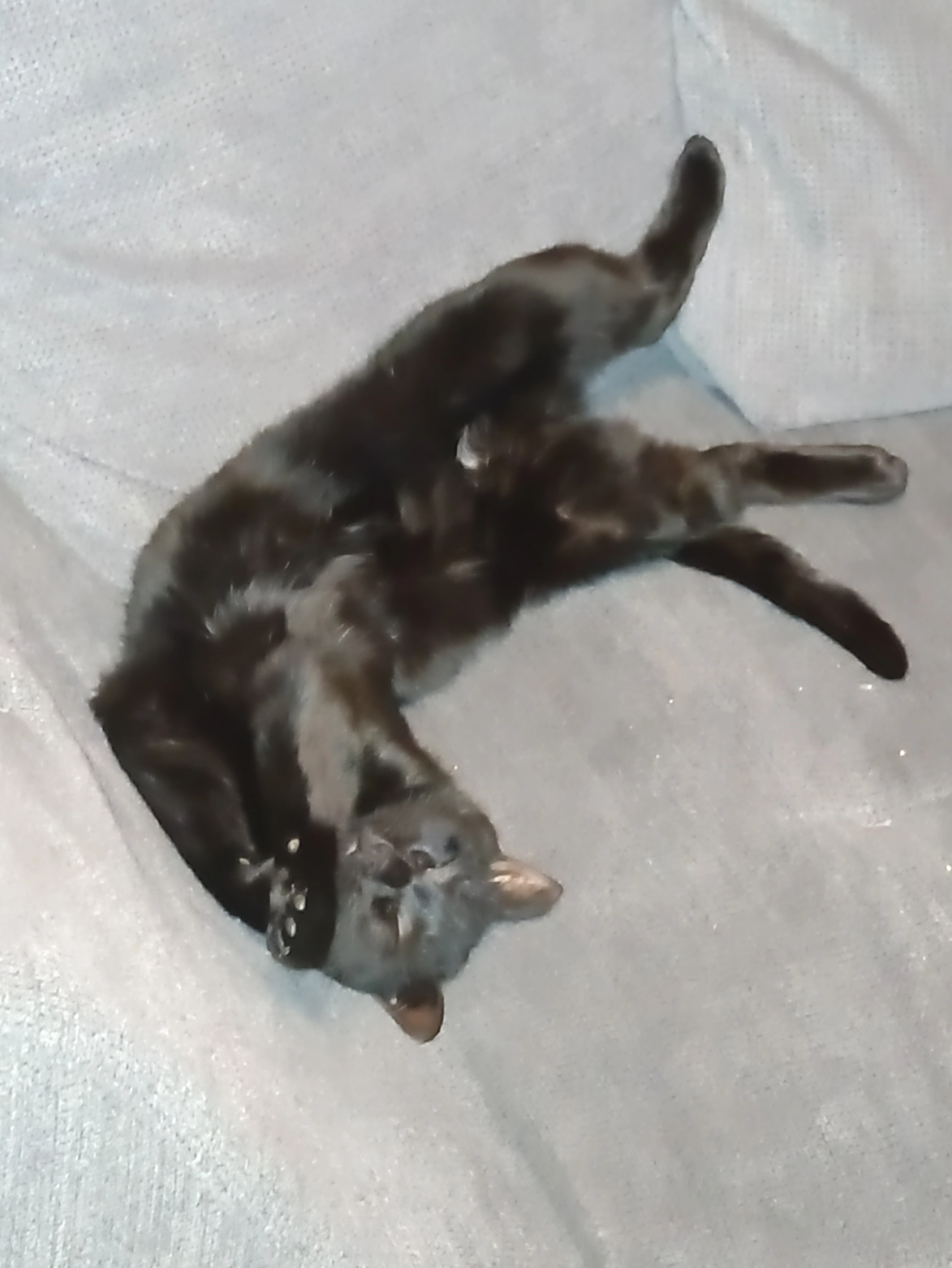 Pumpi - Unländer Damm, Wallenhorst