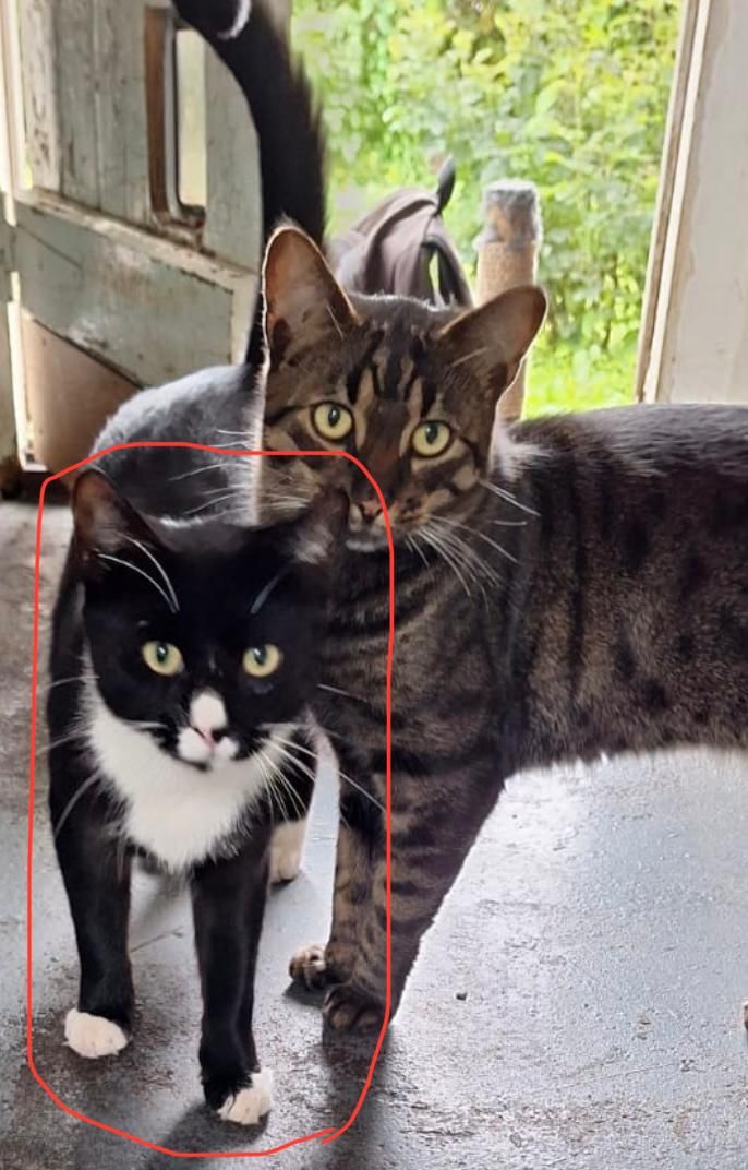 Percy - Ten Mile Bank, Littleport 