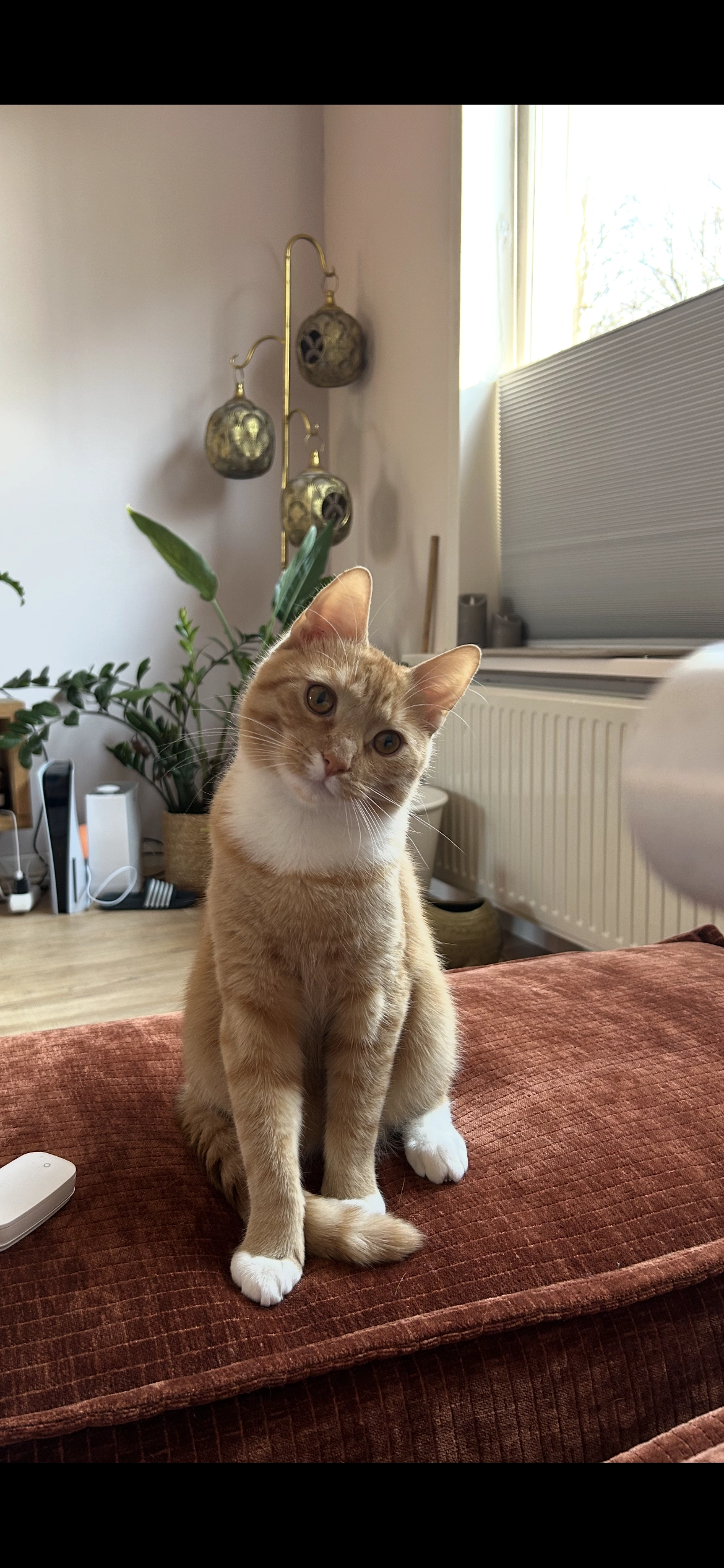 Cheffie - Sportlaan, Emmeloord