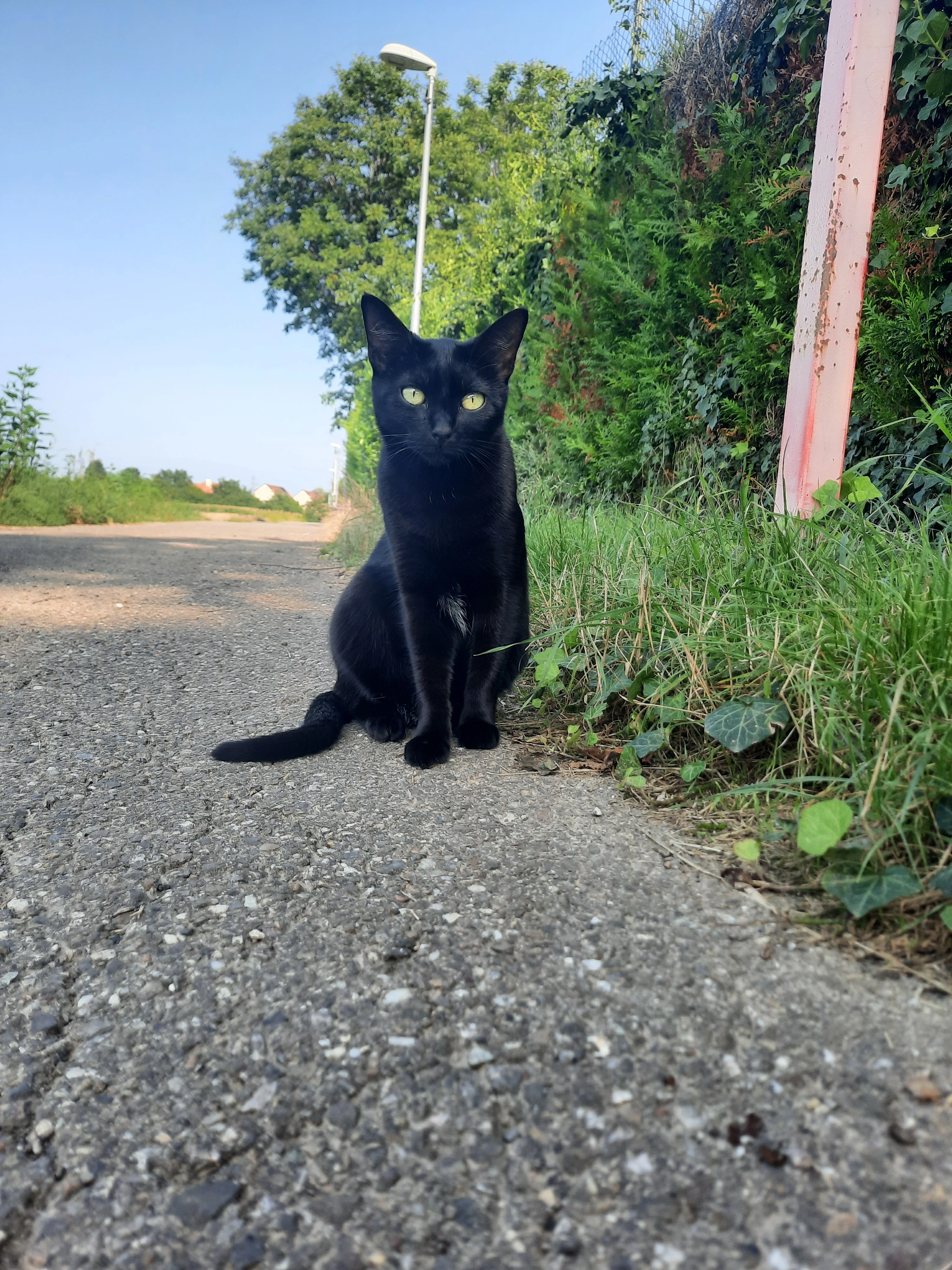 Kira - Rue de Reims, Geispolsheim