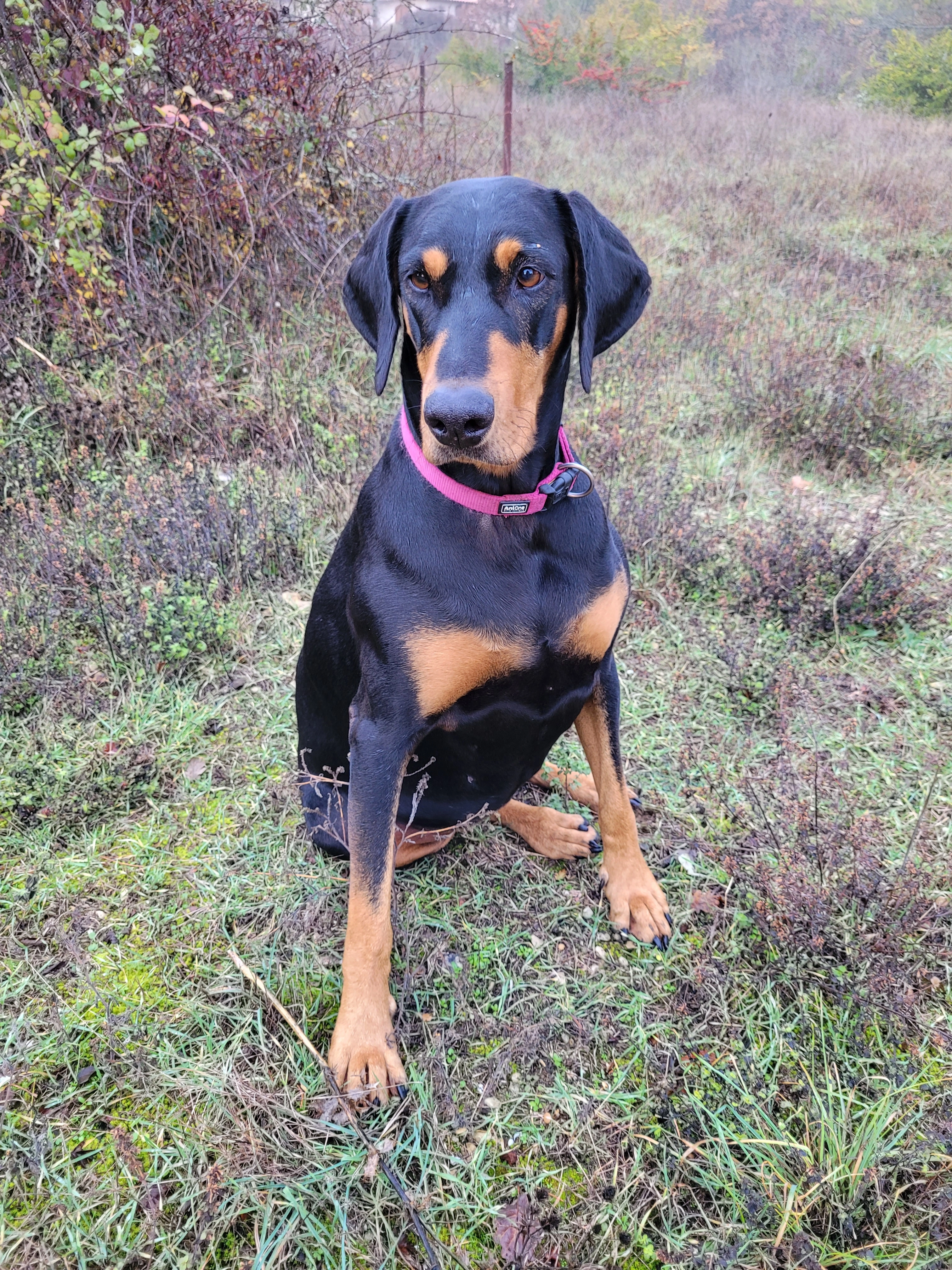 Naya - Chemin de Vallauris, Lauris