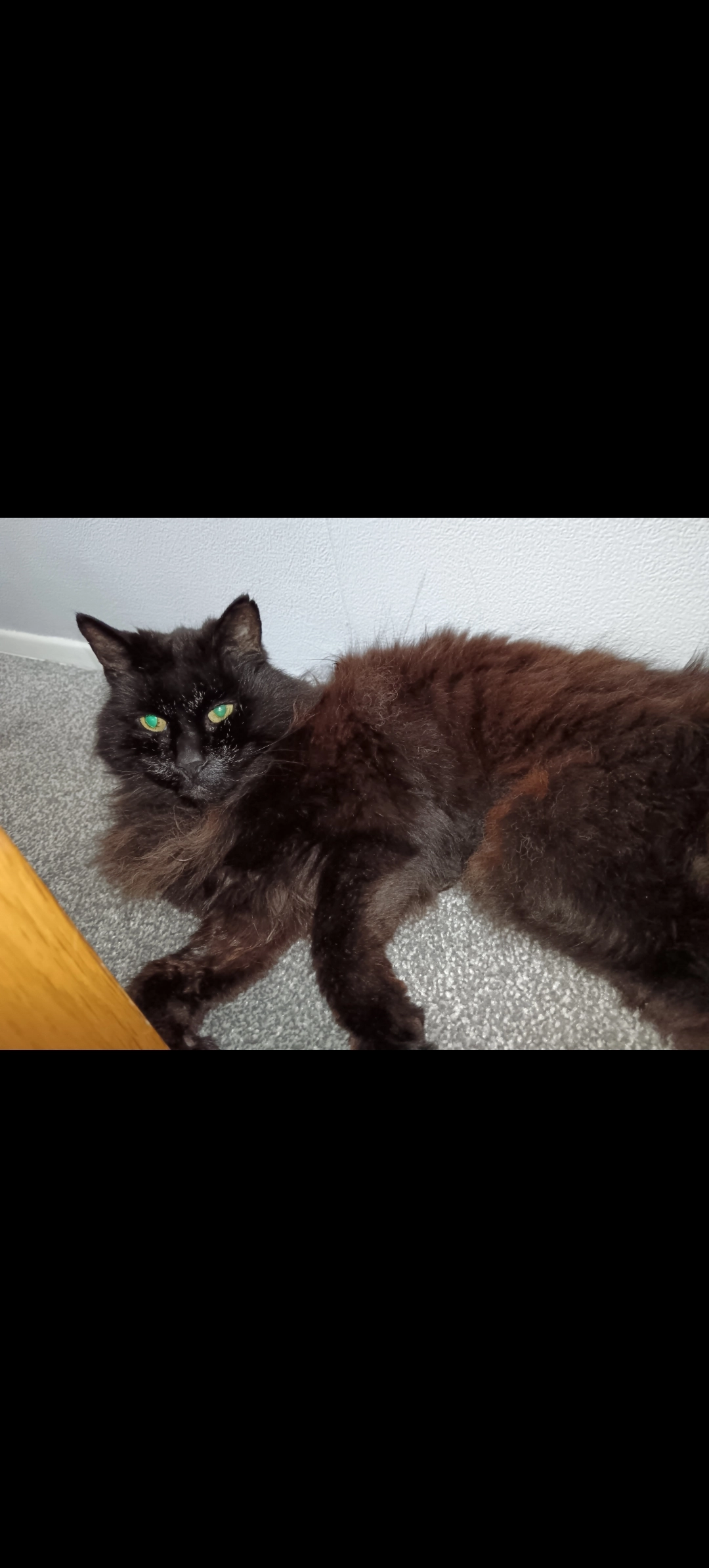 Thomas  - Maragaret Bar Row, Swanscombe and Greenhithe