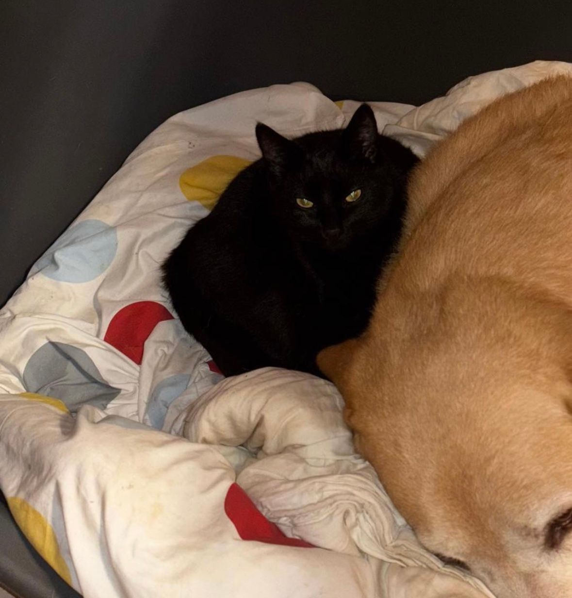 Mia  - Vitusstraße, Brakel