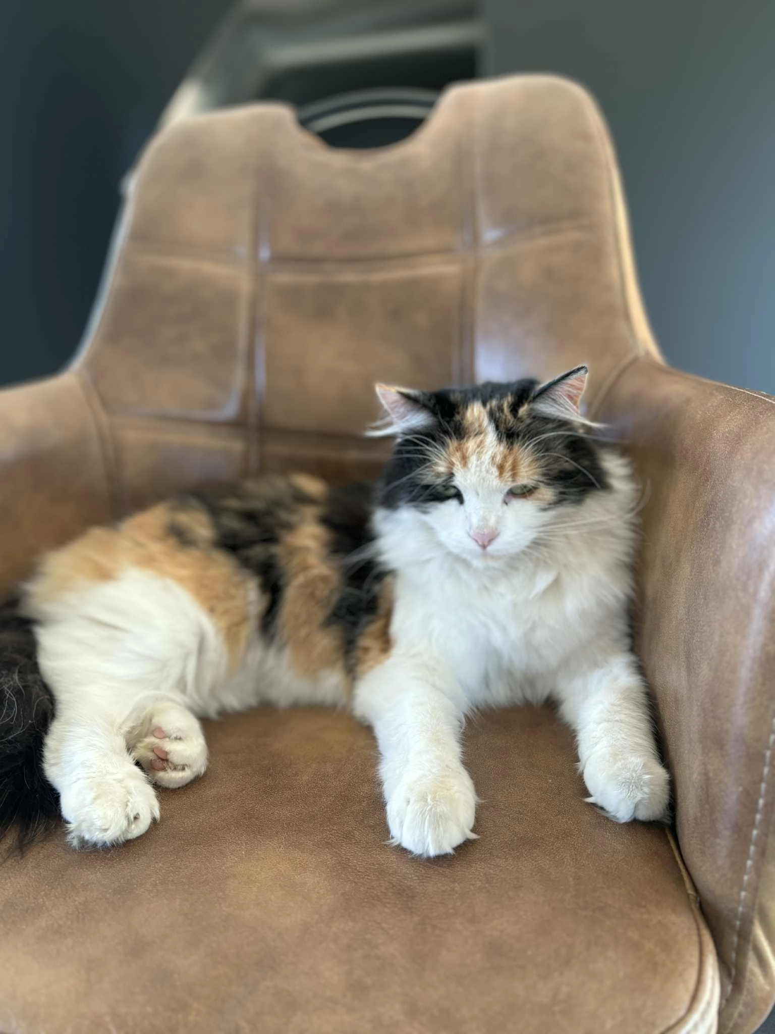 Kira - Rue de Merwez, Paliseul