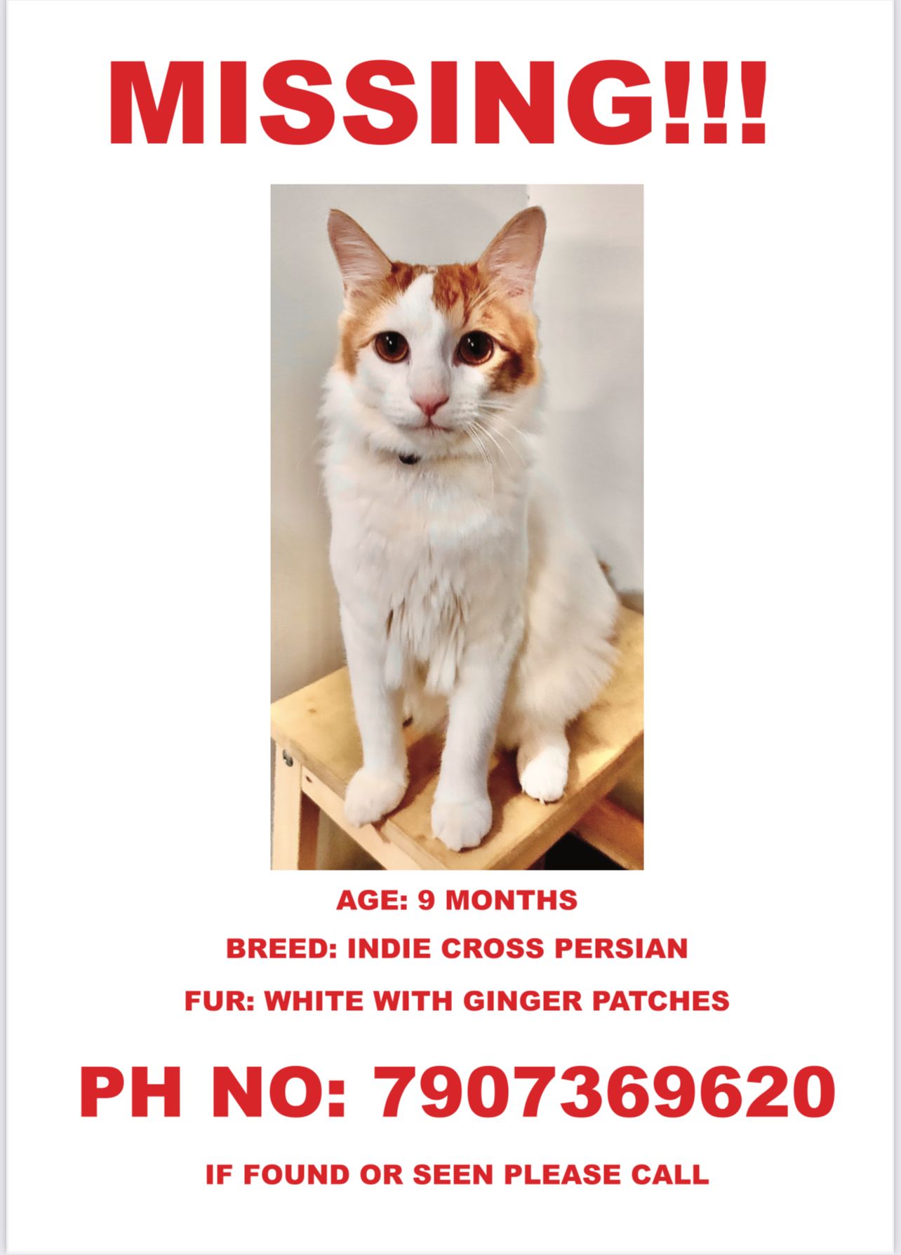 Ginger  - 1st A Cross Road, Mangammanapalya