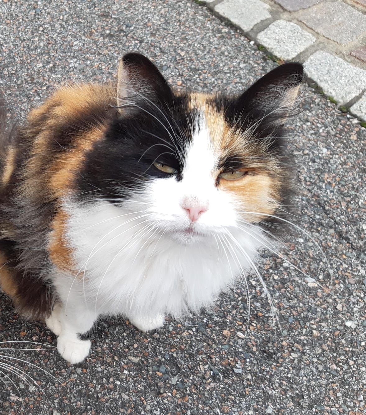 Kathi - Kresbach, Bad Schwanberg