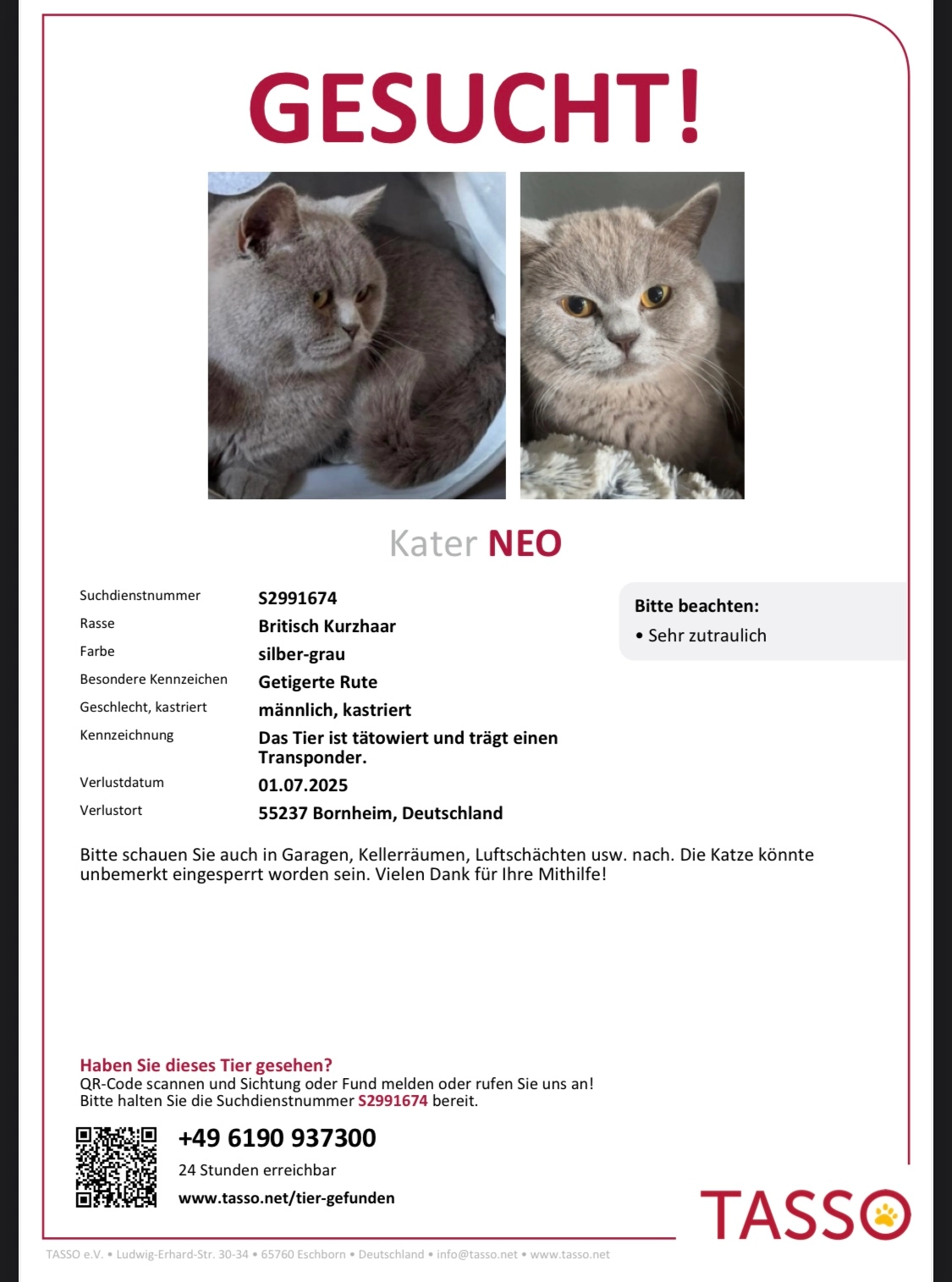 Neo - Neue Straße, Bornheim