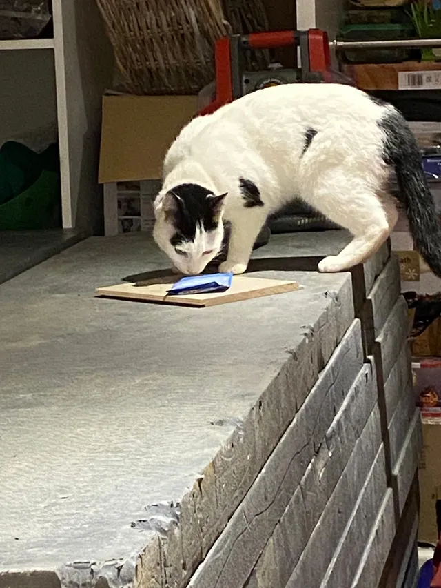 Oreo - LU6 1, Dunstable