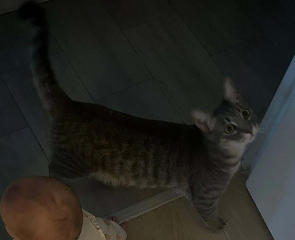 Praline - Les Chanterelles, Gardanne